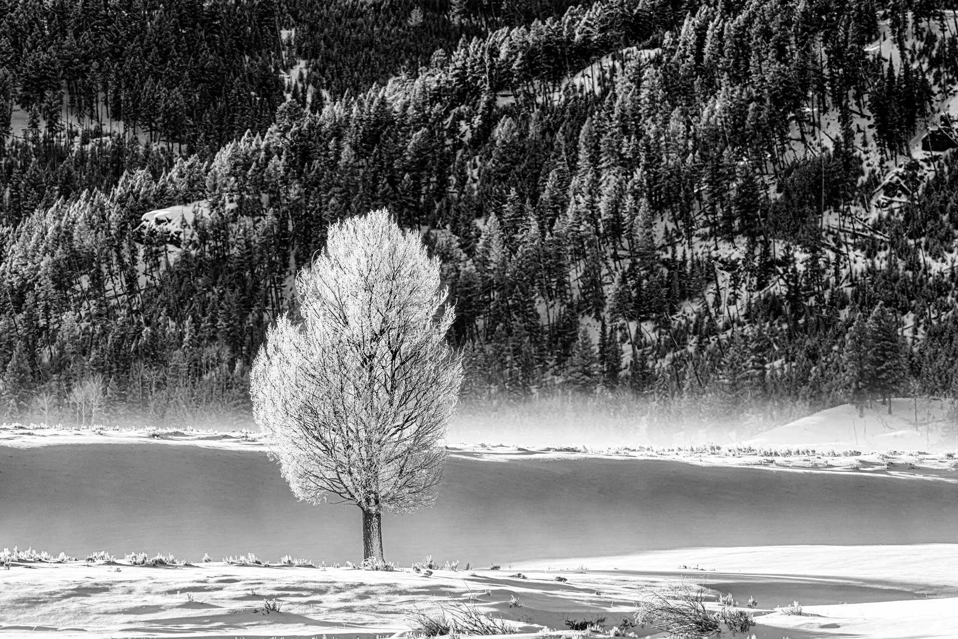 Peaceful Easy Feeling