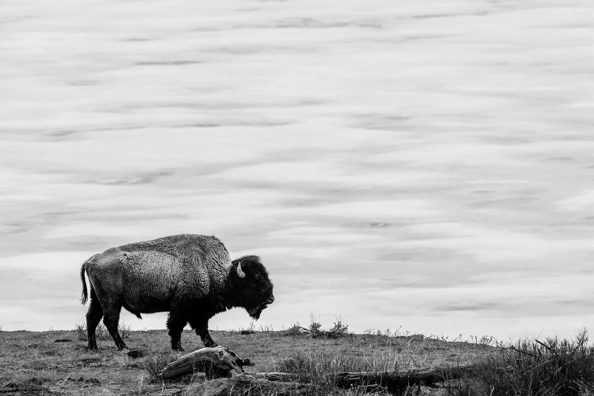 Strength From The Heavens II