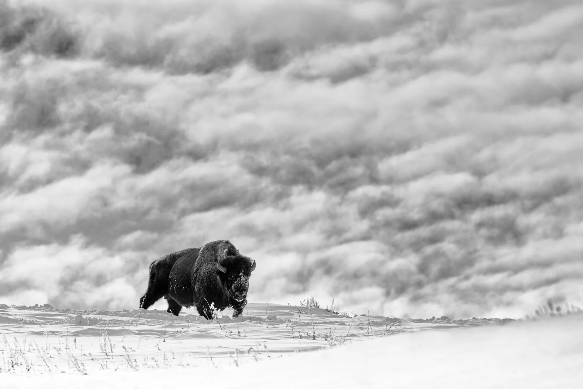 Strength From The Heavens