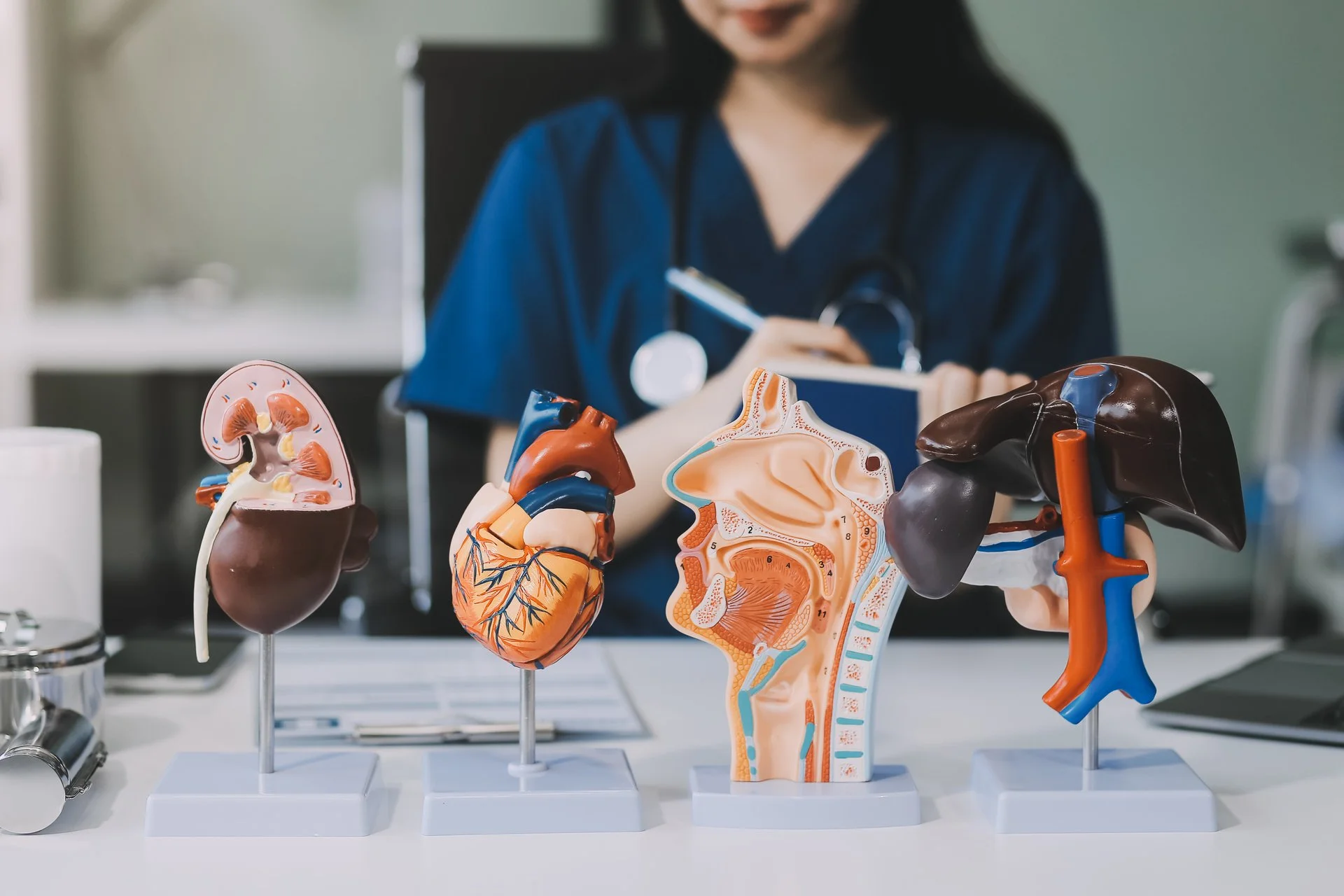 Effective Strategies for Shelf Exam Preparation