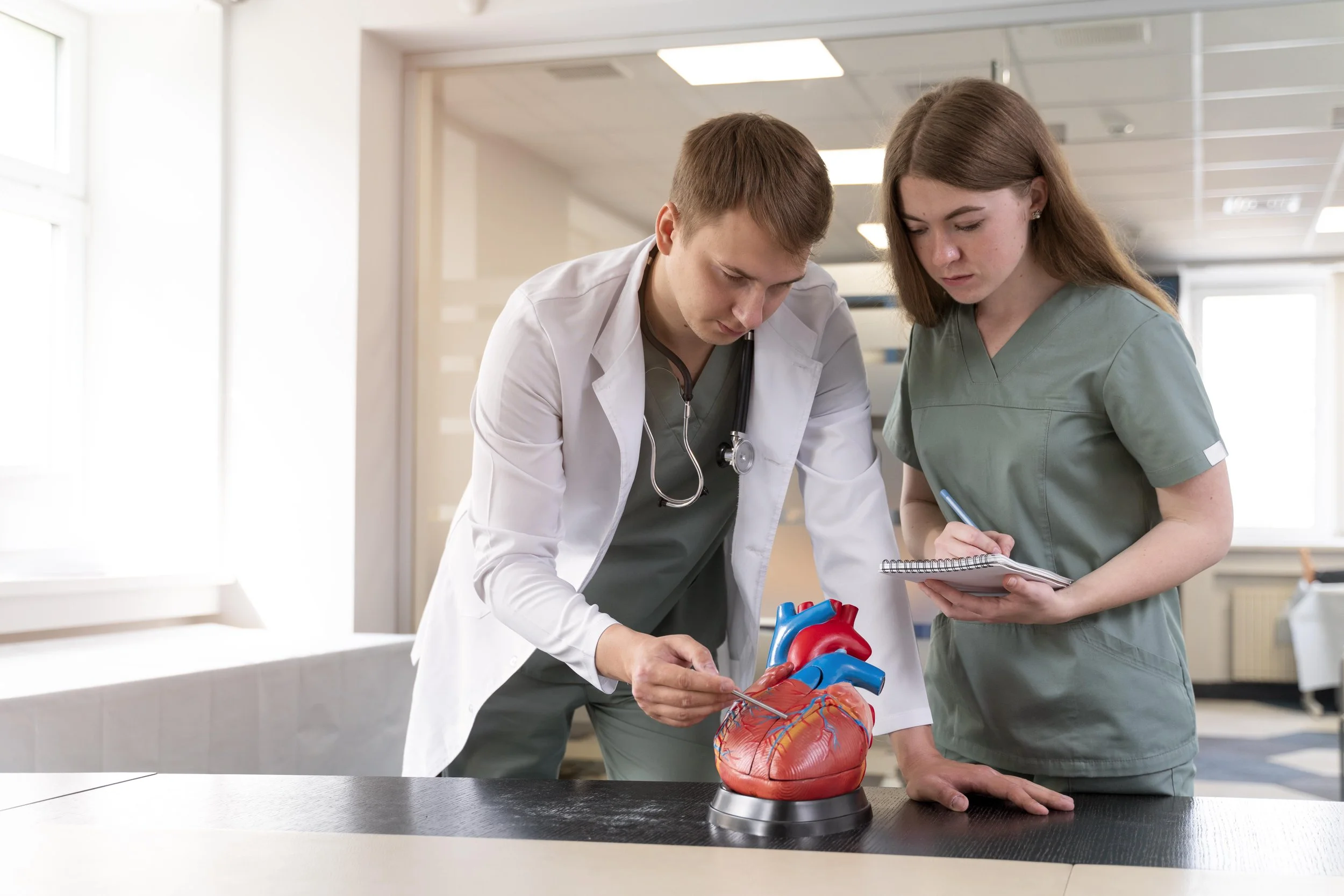 Two medical students examining an anatomical heart model, with one pointing out structures while the other takes notes.