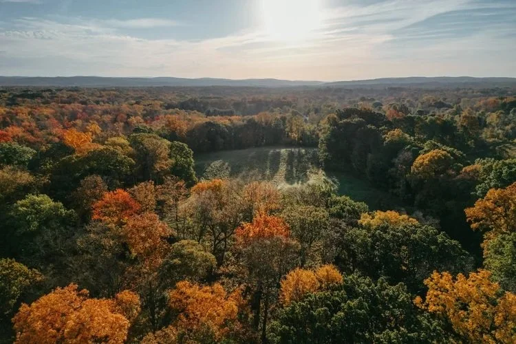 Why Buying Property In Upstate New York Is A Smart Investment Opportunity