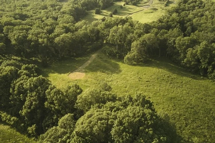 What Makes Homes For Sale In Tivoli, NY So Appealing Right Now