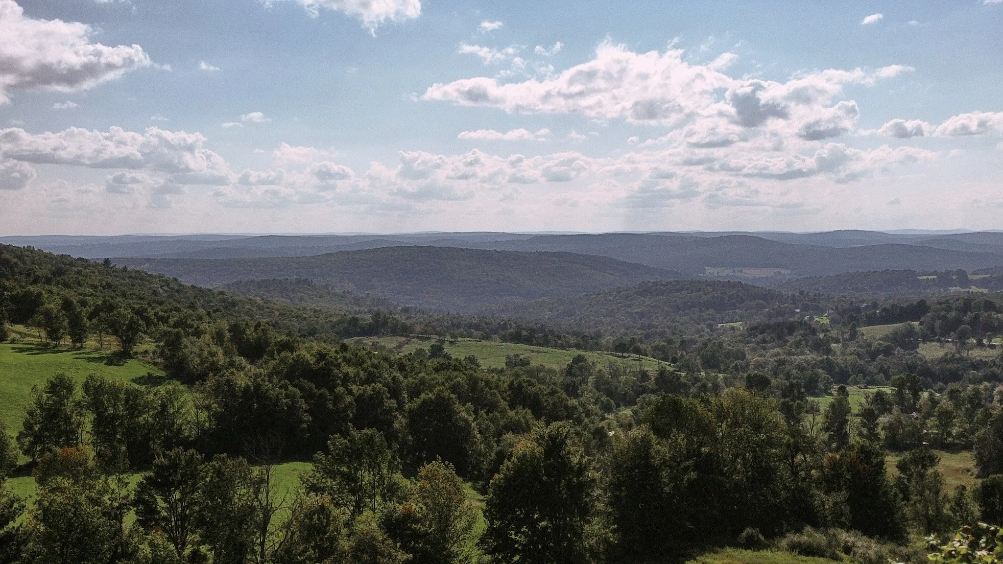 Beechwoods_62.jpg