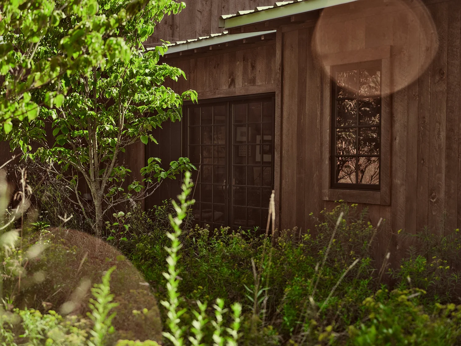 Native plantings against the board siding