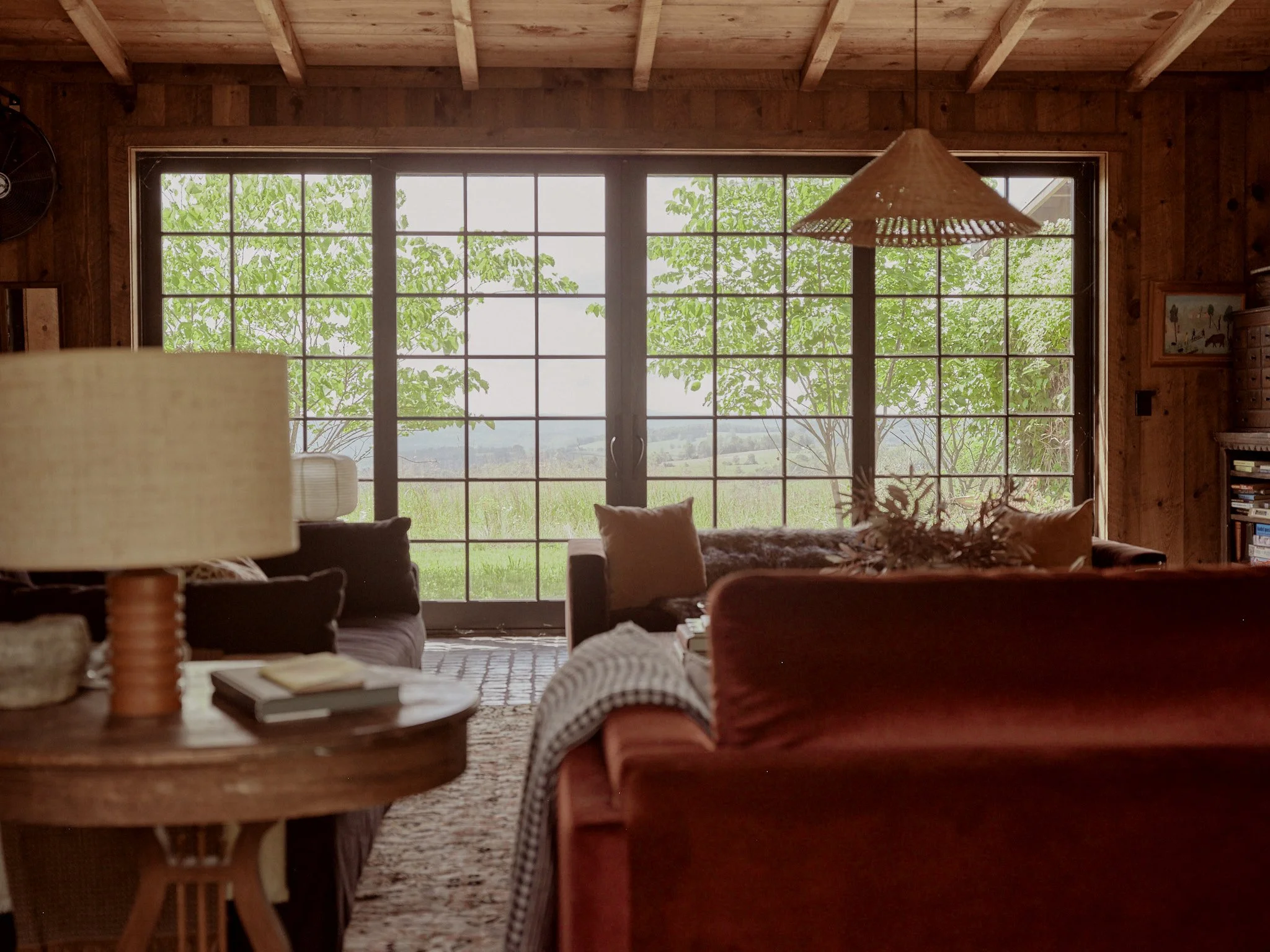 Beechwoods_46.jpg