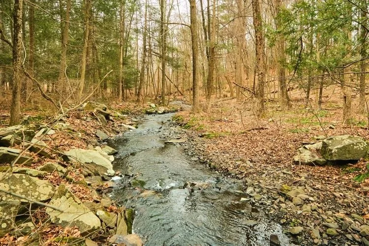 Hudson Valley Land for Sale