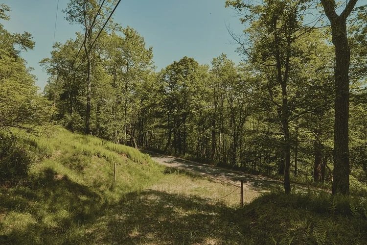 Houses for Sale in Livingston Manor, NY