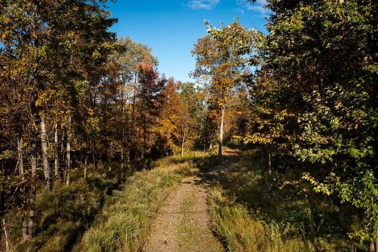 Property for Sale in Amenia, NY