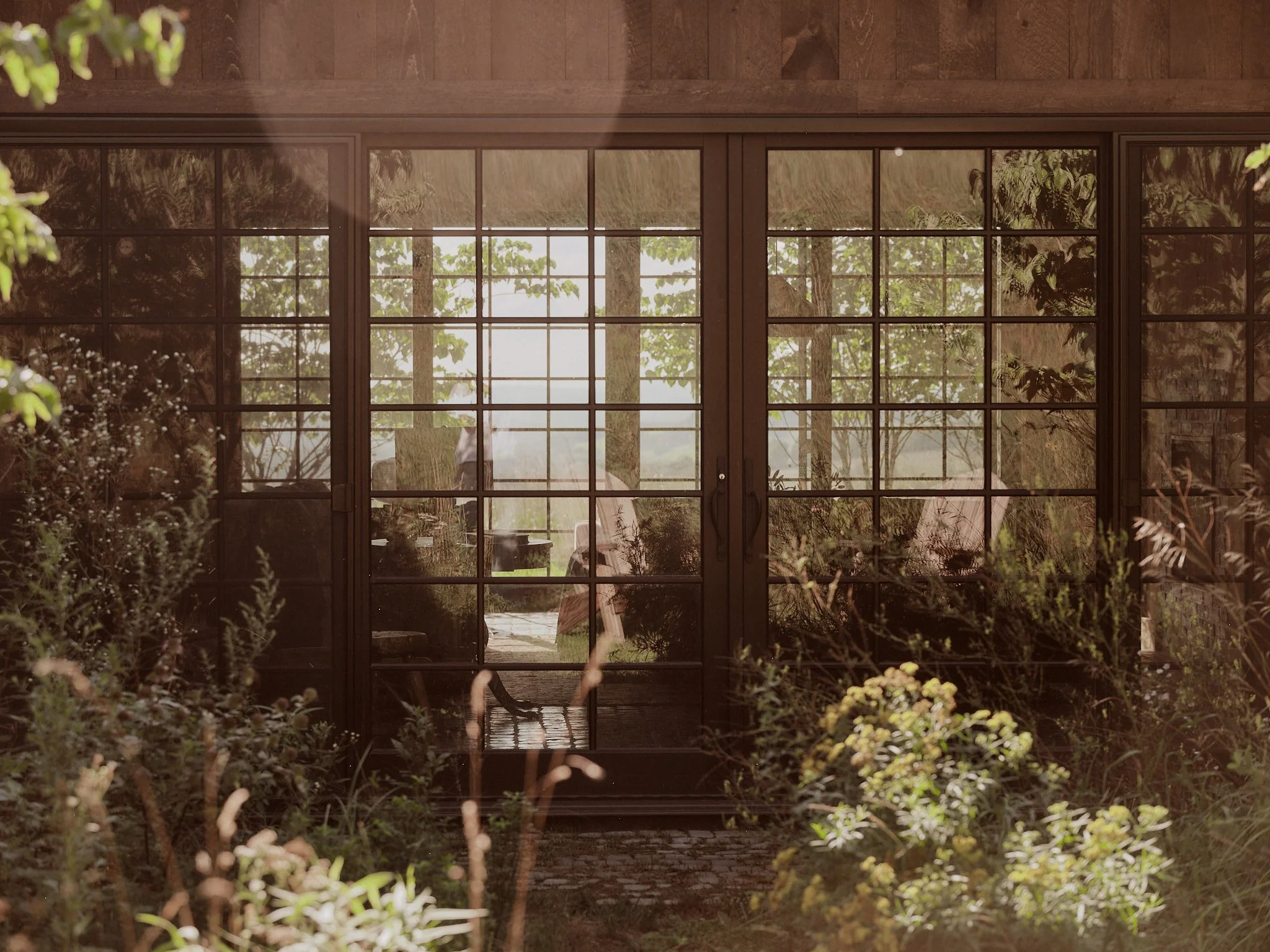Beechwoods_47.jpg