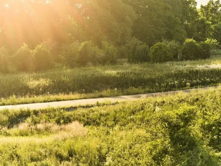 Property For Sale Kingston