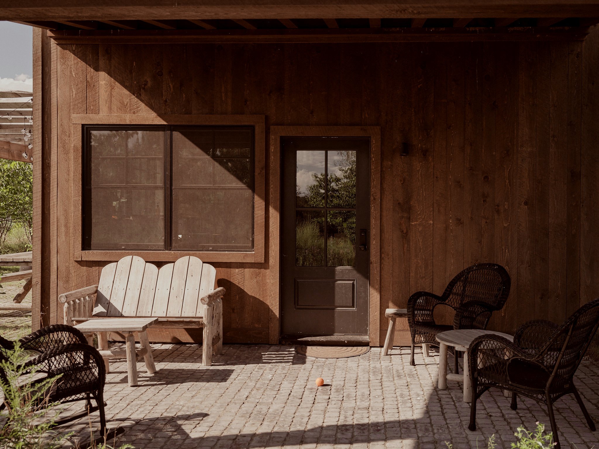Beechwoods_06.jpg