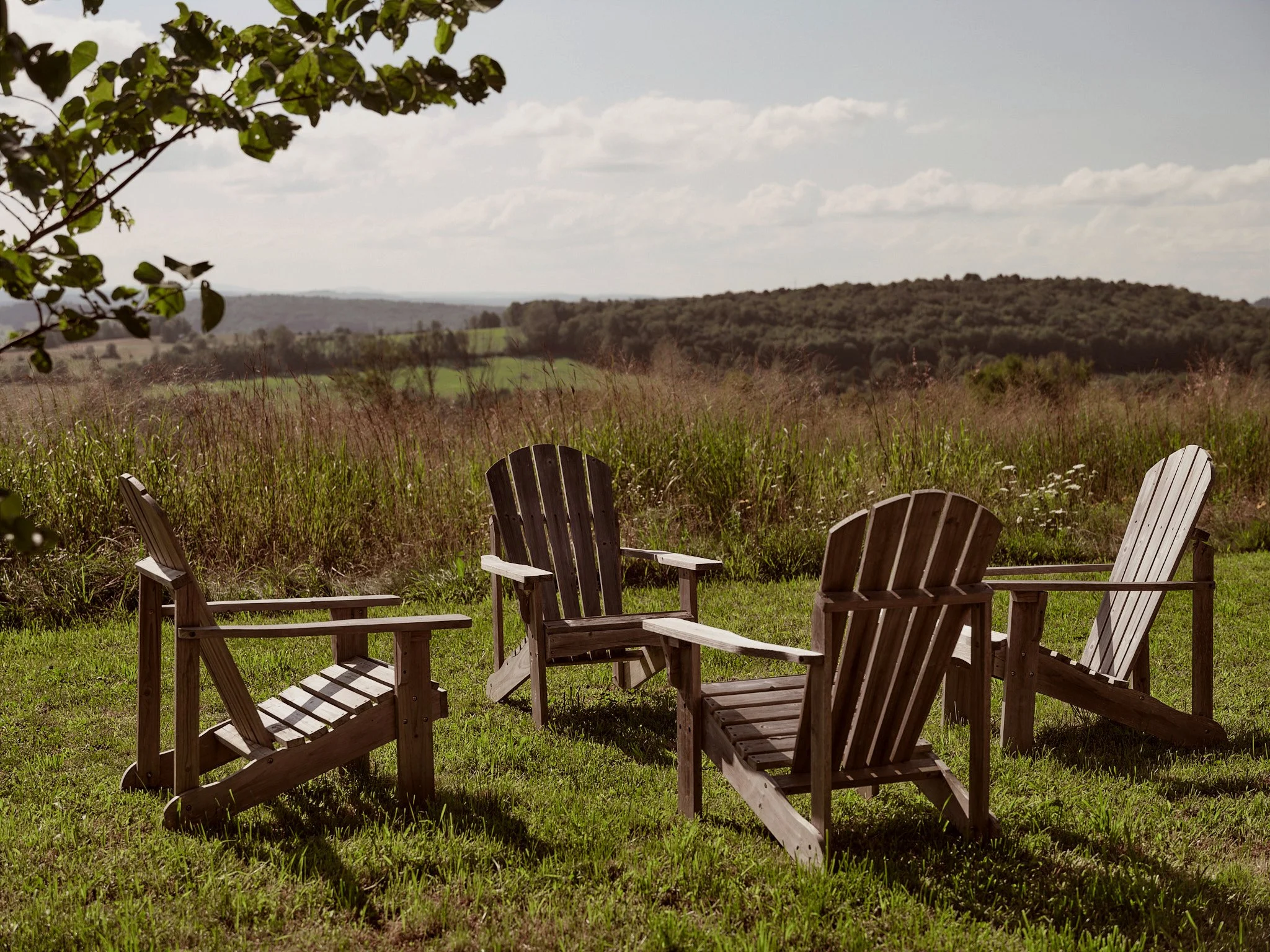 Beechwoods_56.jpg