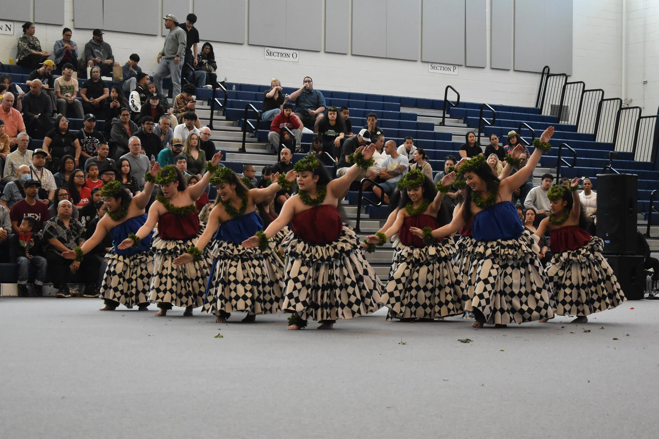 DSC_0503.JPG