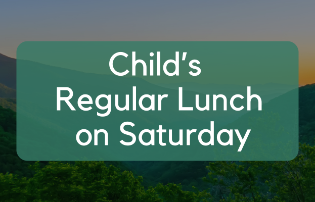 Child regular lunch ticket.png