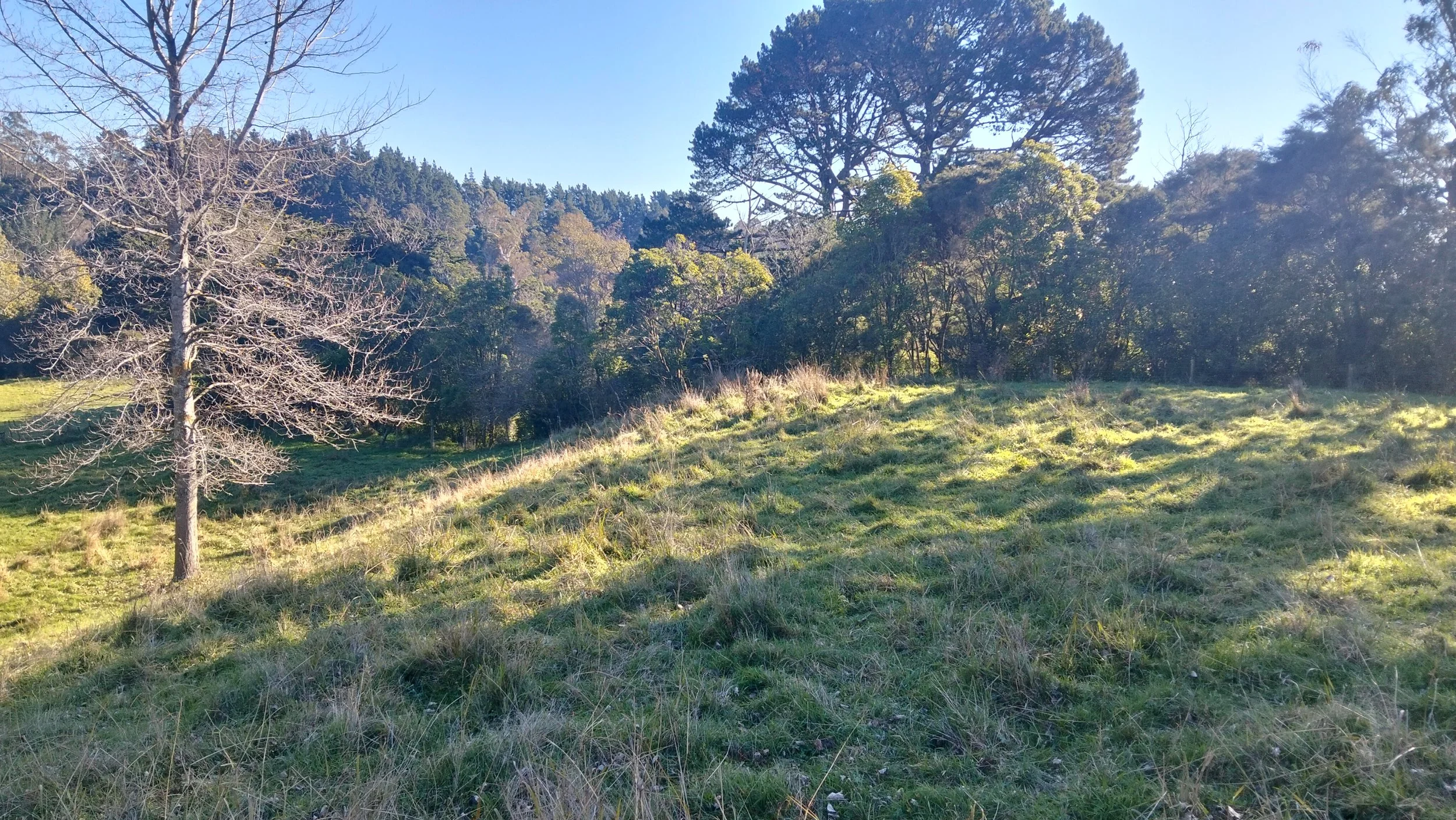 slope from house site down to lower level