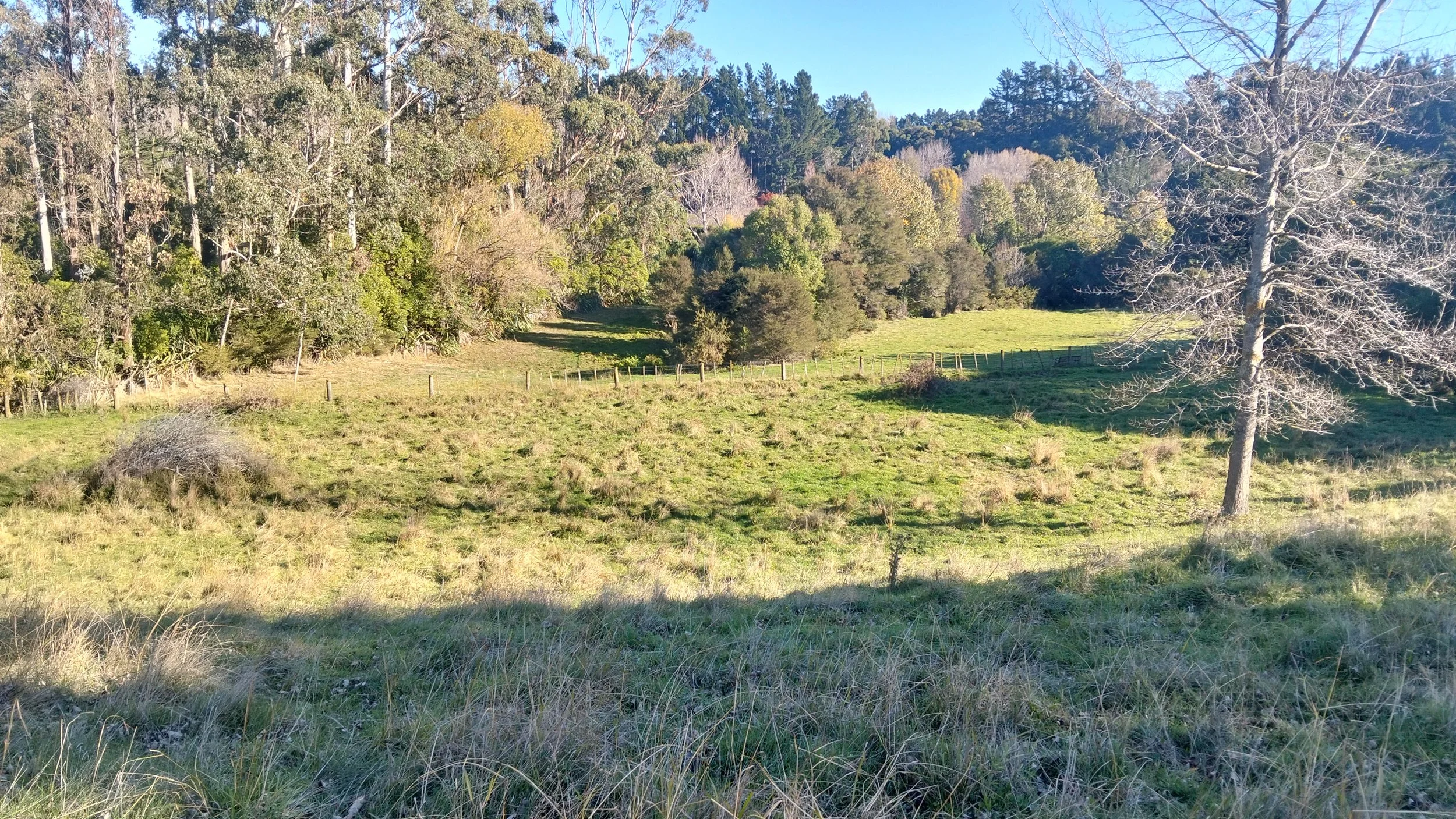 orchard/garden area