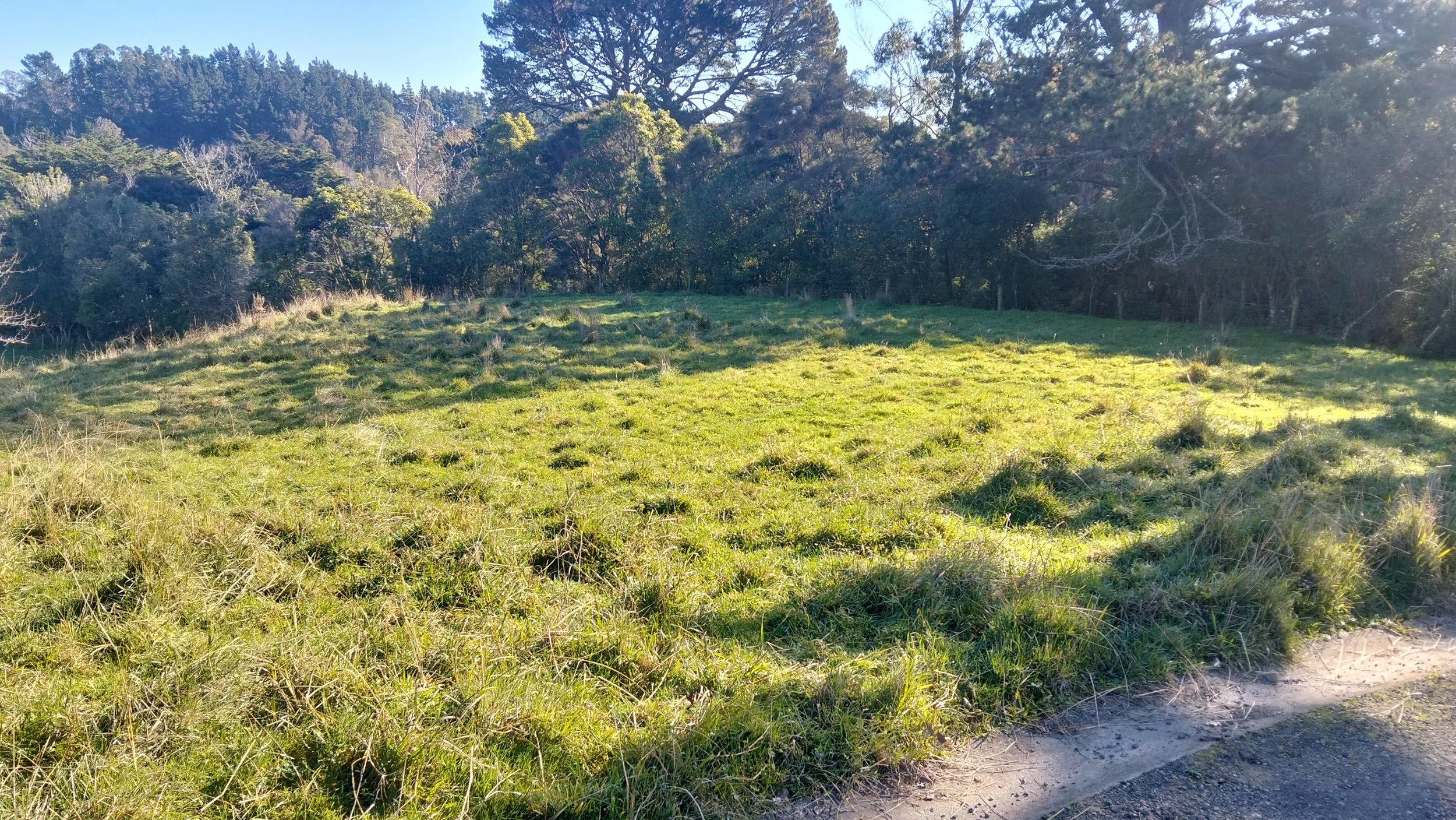 house site