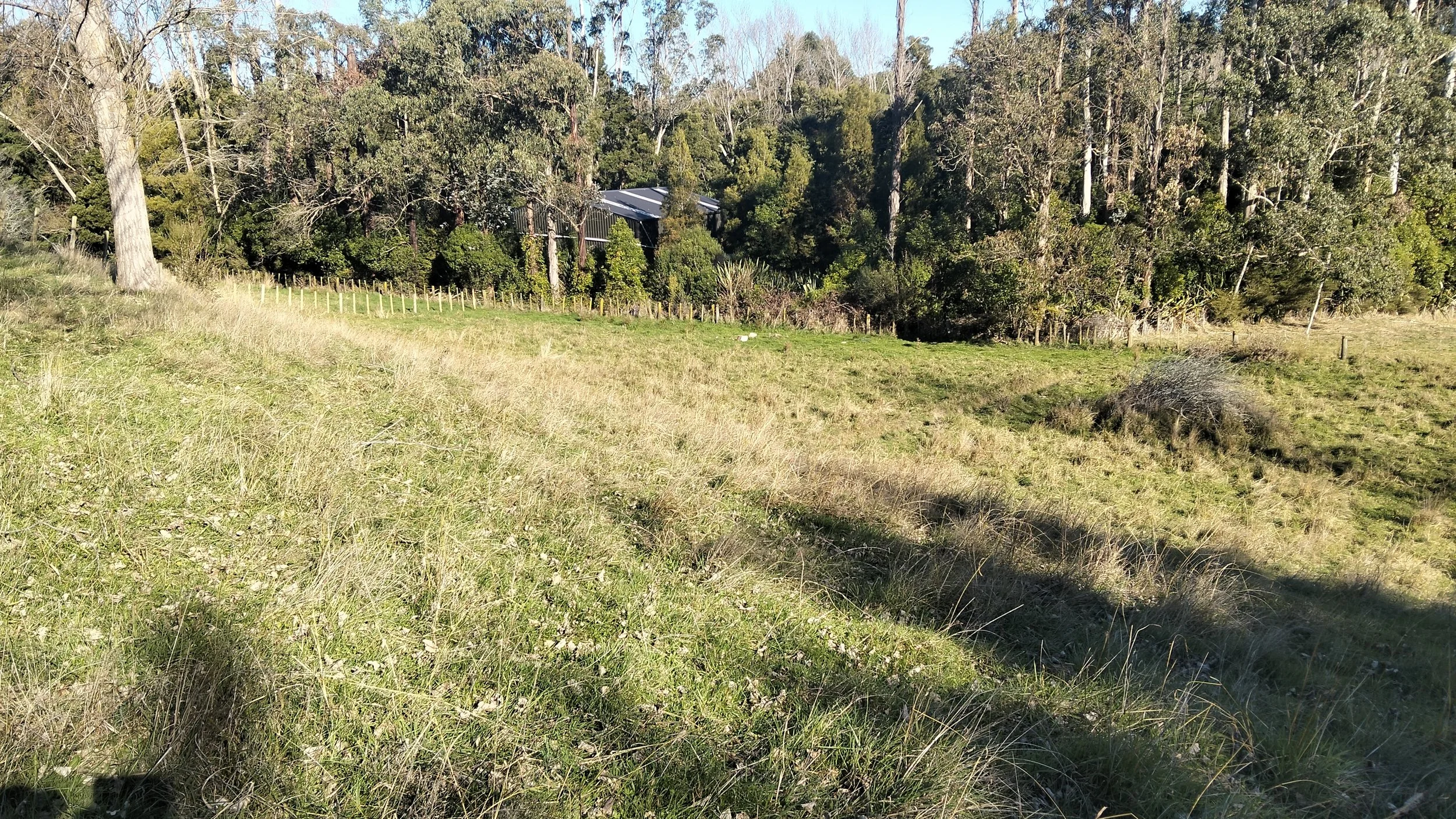 suggested solar array area