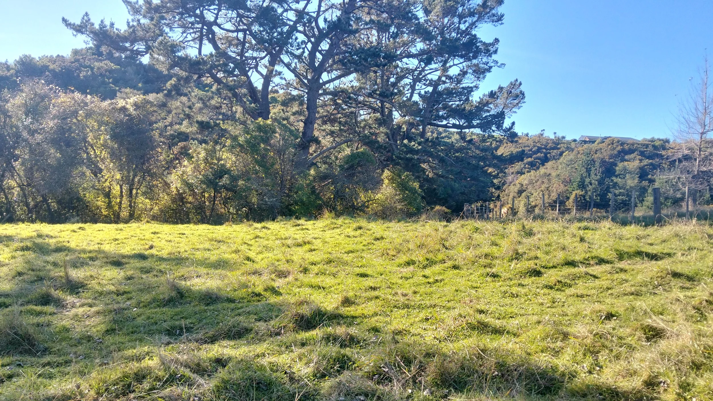 house site area