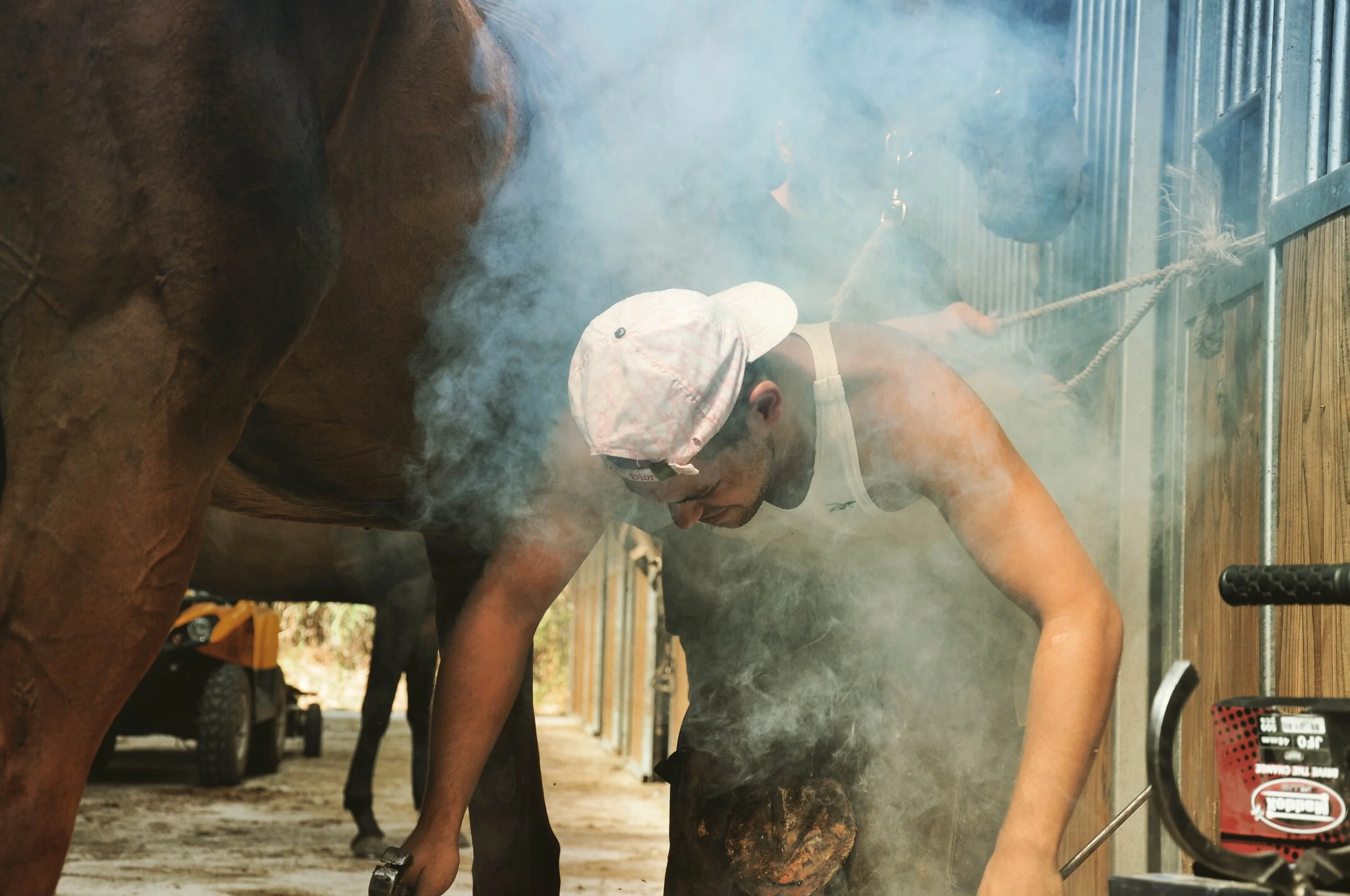 photo-reportage-presse-chevaux-maréchal-ferrant.jpg