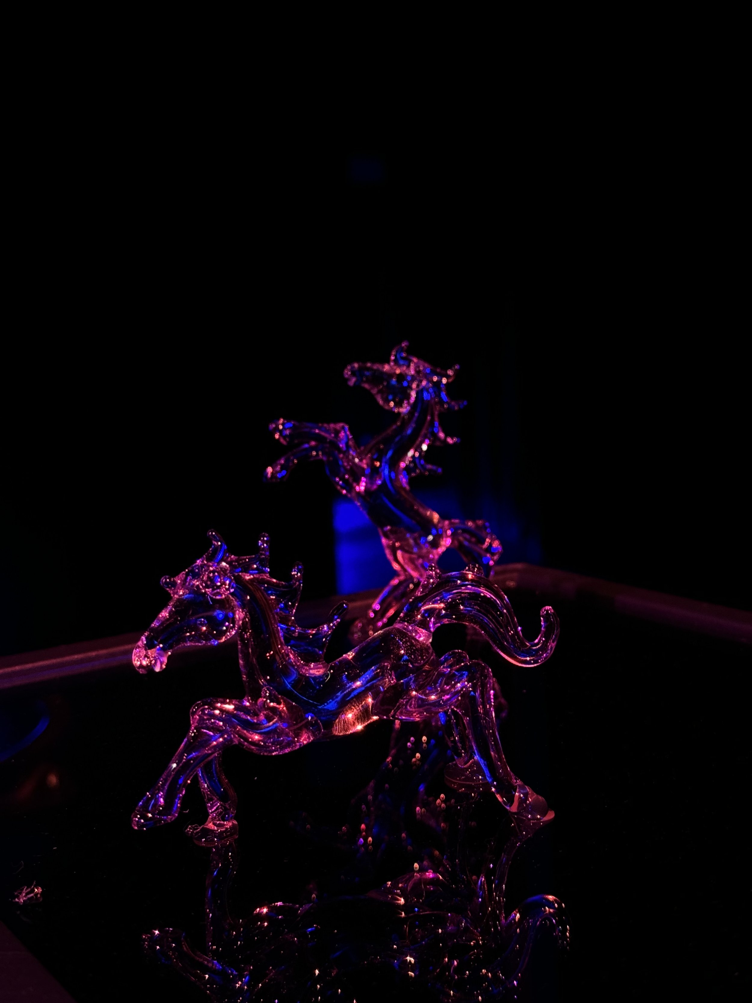 IMG_3736.jpeg