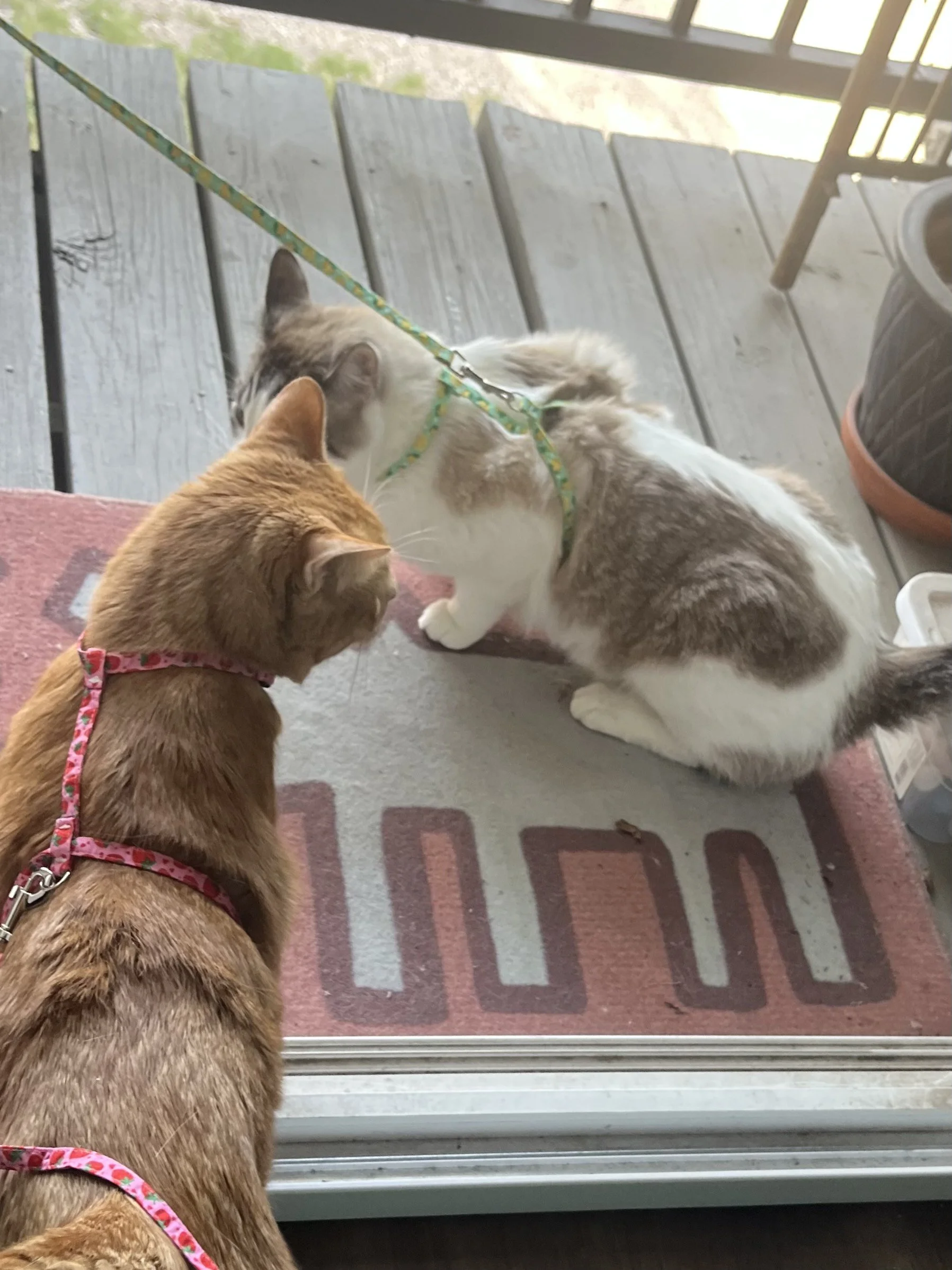Harnessing the Sneezes