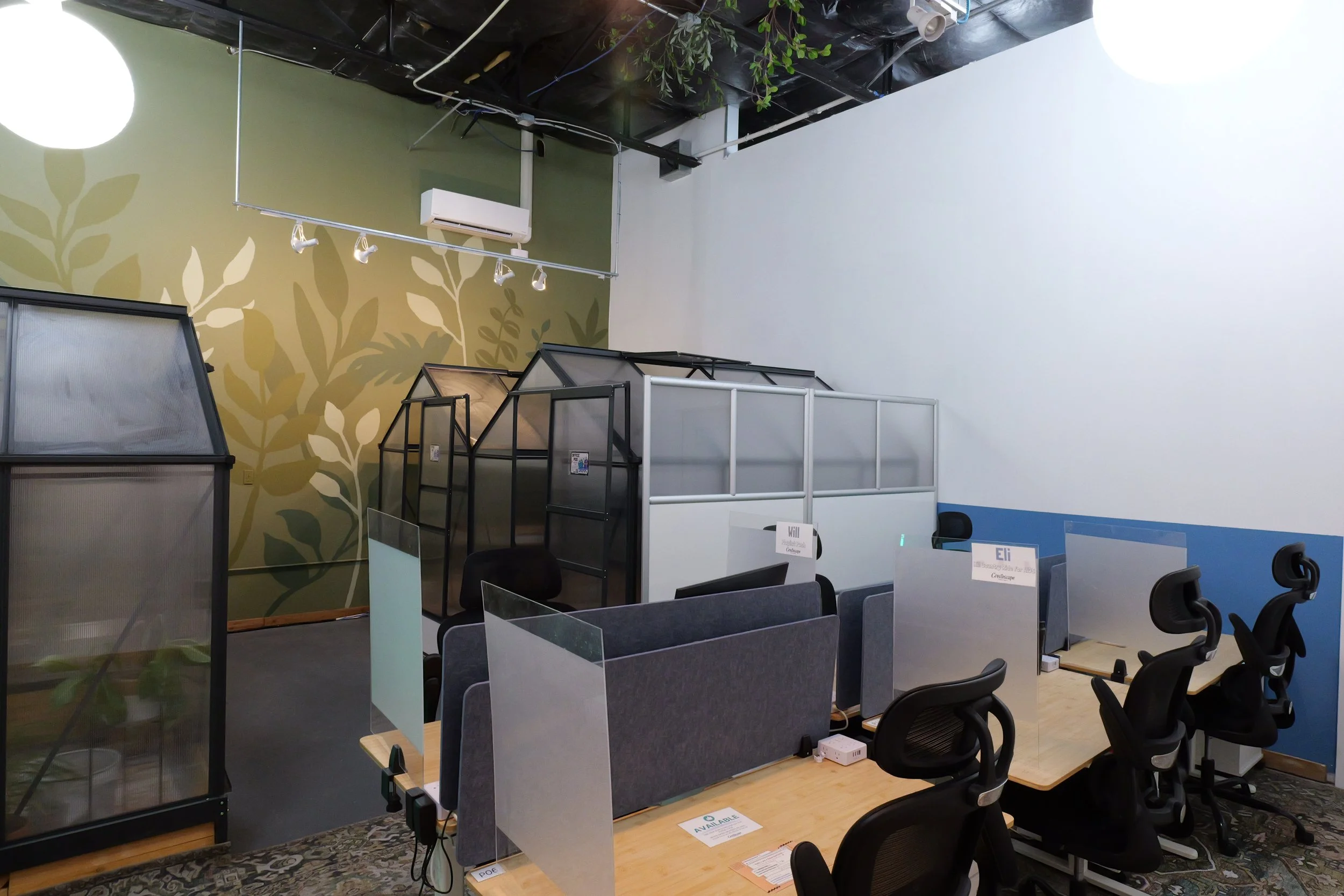 An indoor office space with workstations separated by transparent dividers, black office chairs, potted plants, a wall with leaf-patterned wallpaper, and a ceiling with exposed pipes and lighting fixtures.
