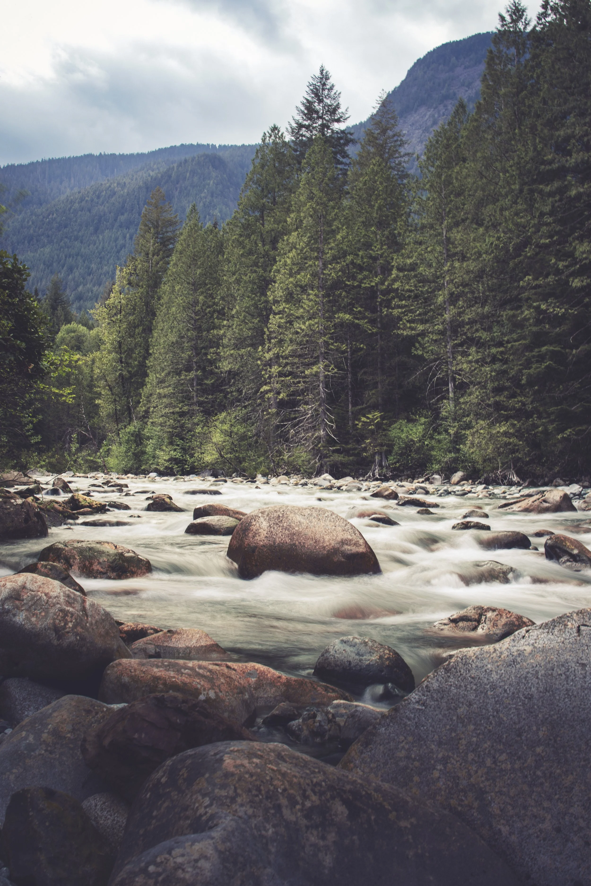 Golden Ears