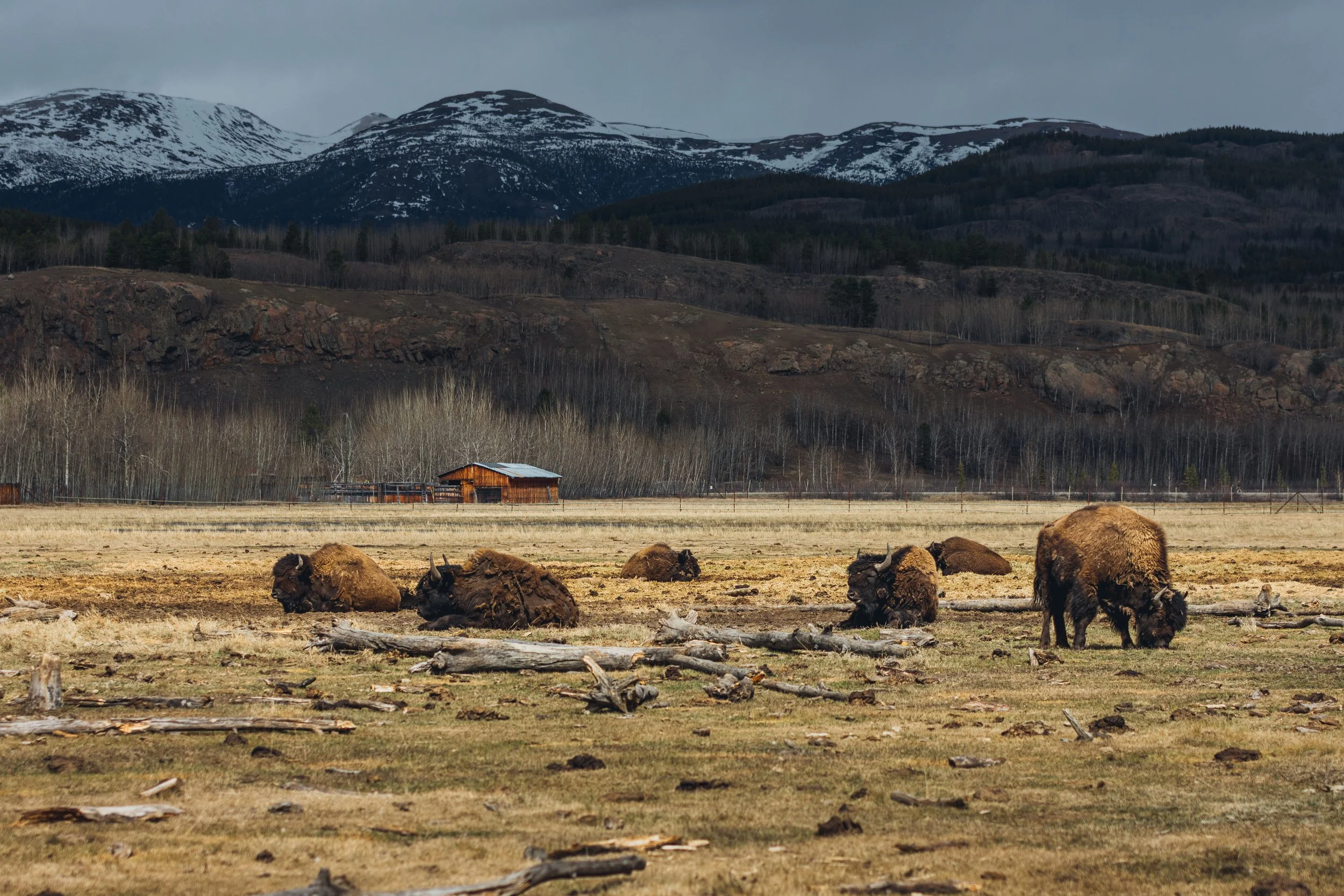 May 10 Wildlife Preserve-8.jpg