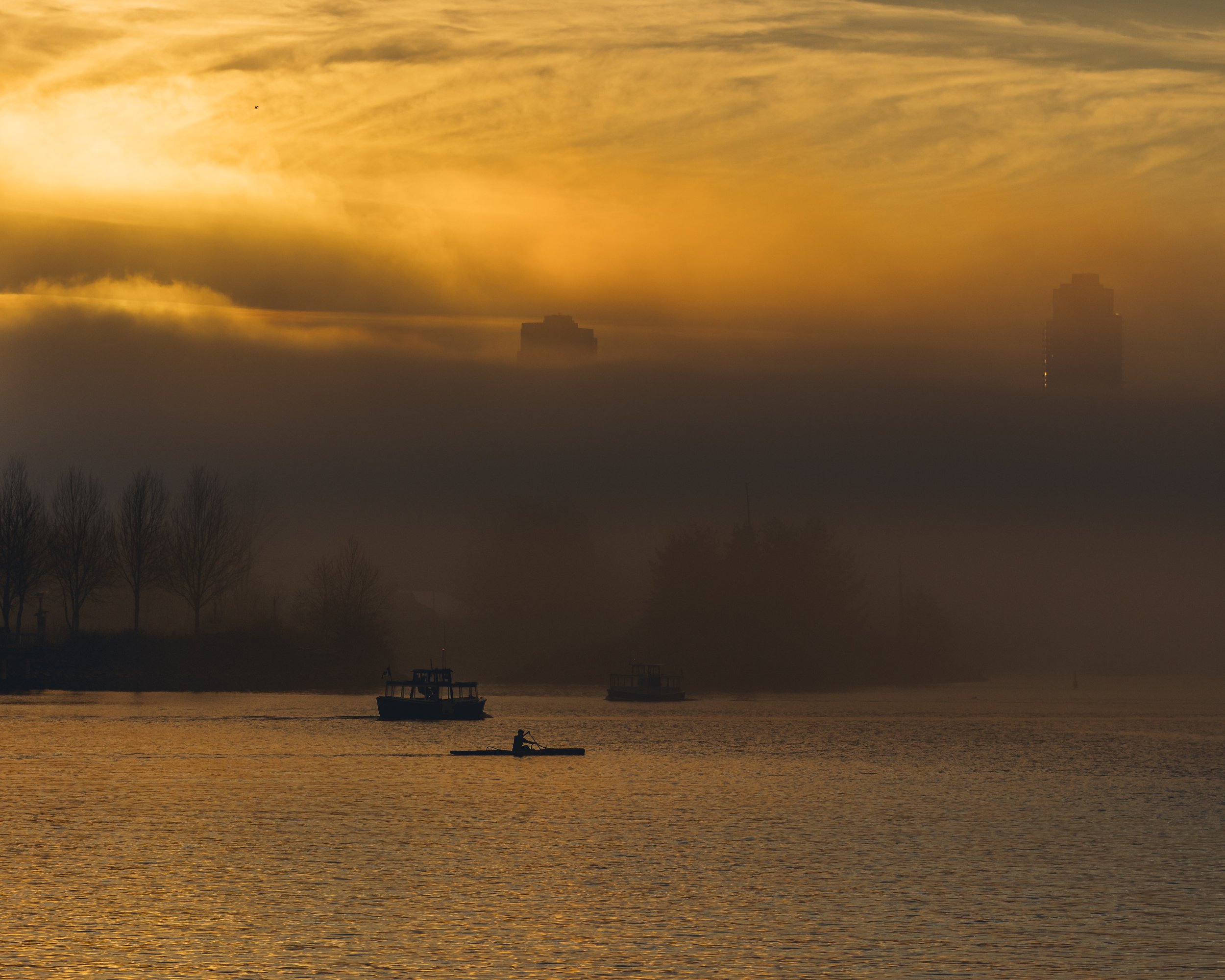 Jan 19 Foggy walk-19.jpg