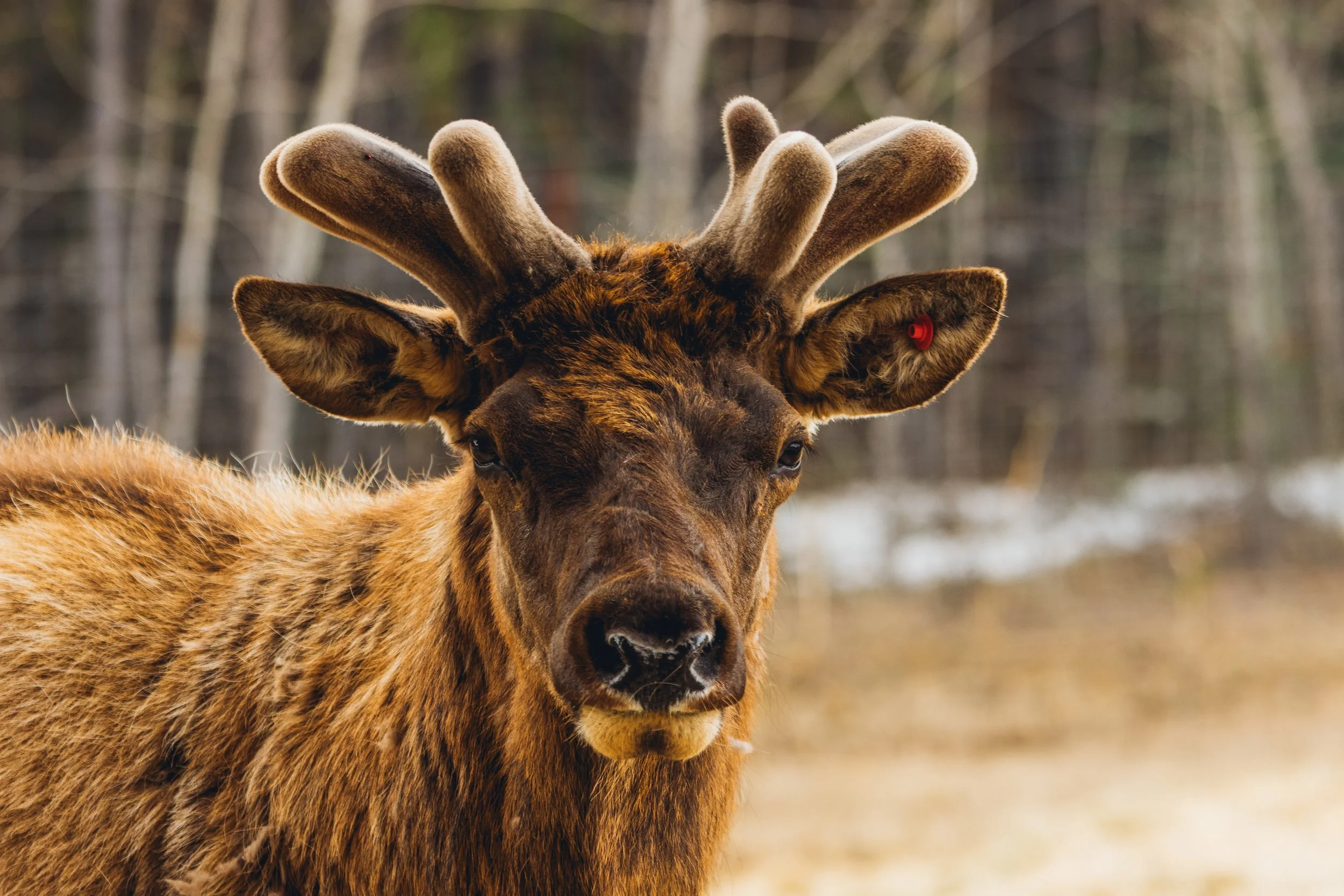 May 10 Wildlife Preserve-55.jpg