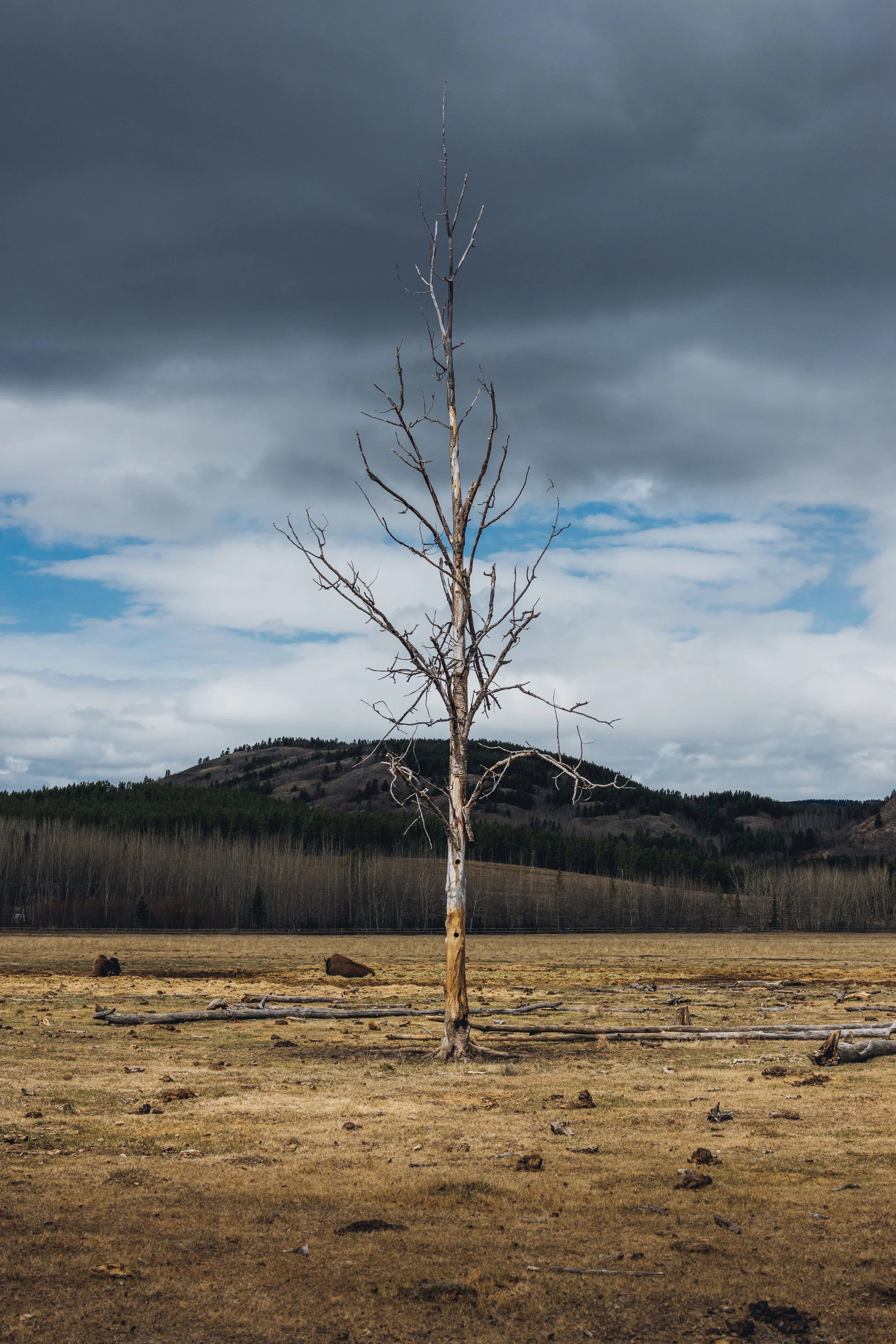 May 10 Wildlife Preserve-10.jpg