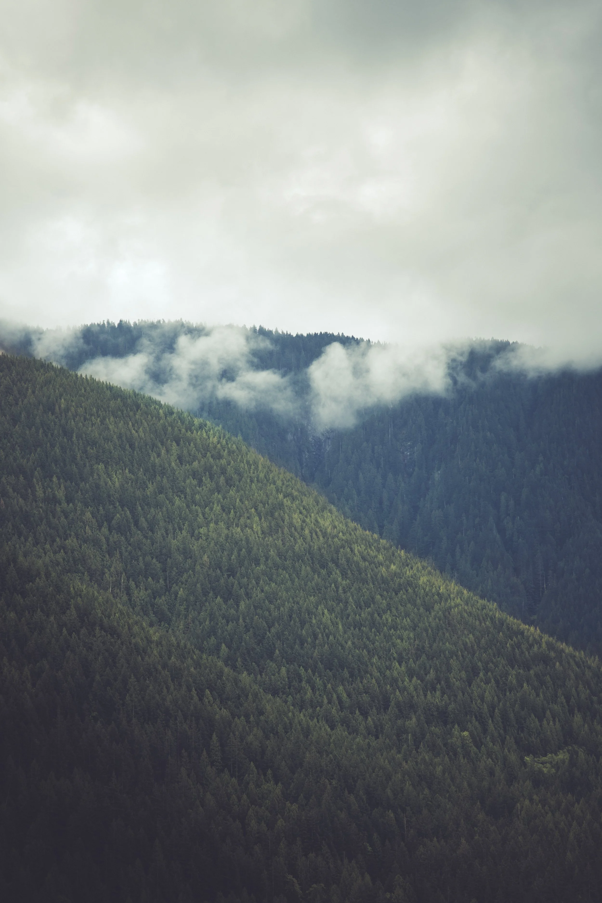 Golden Ears