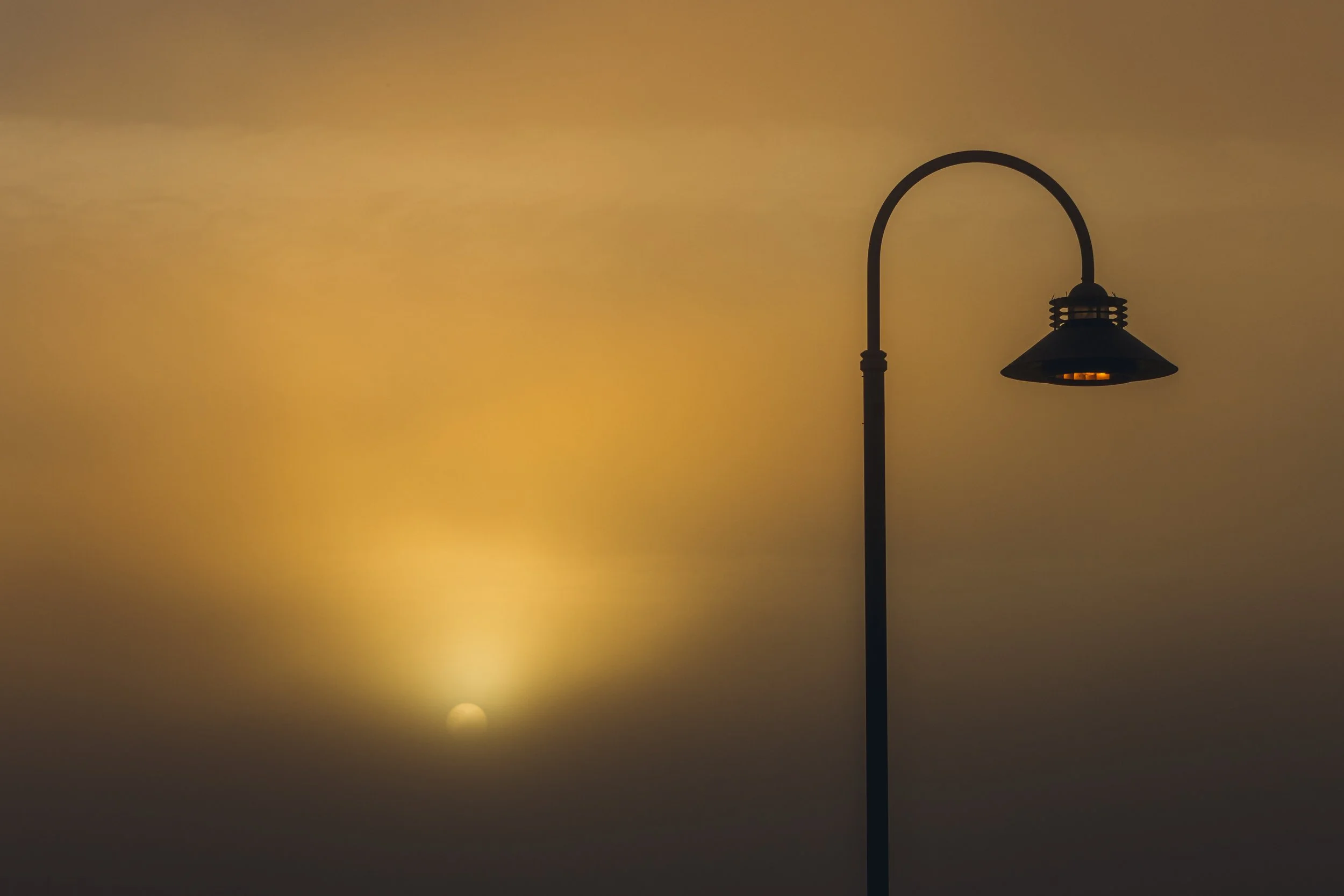 Jan 19 Foggy walk-13.jpg