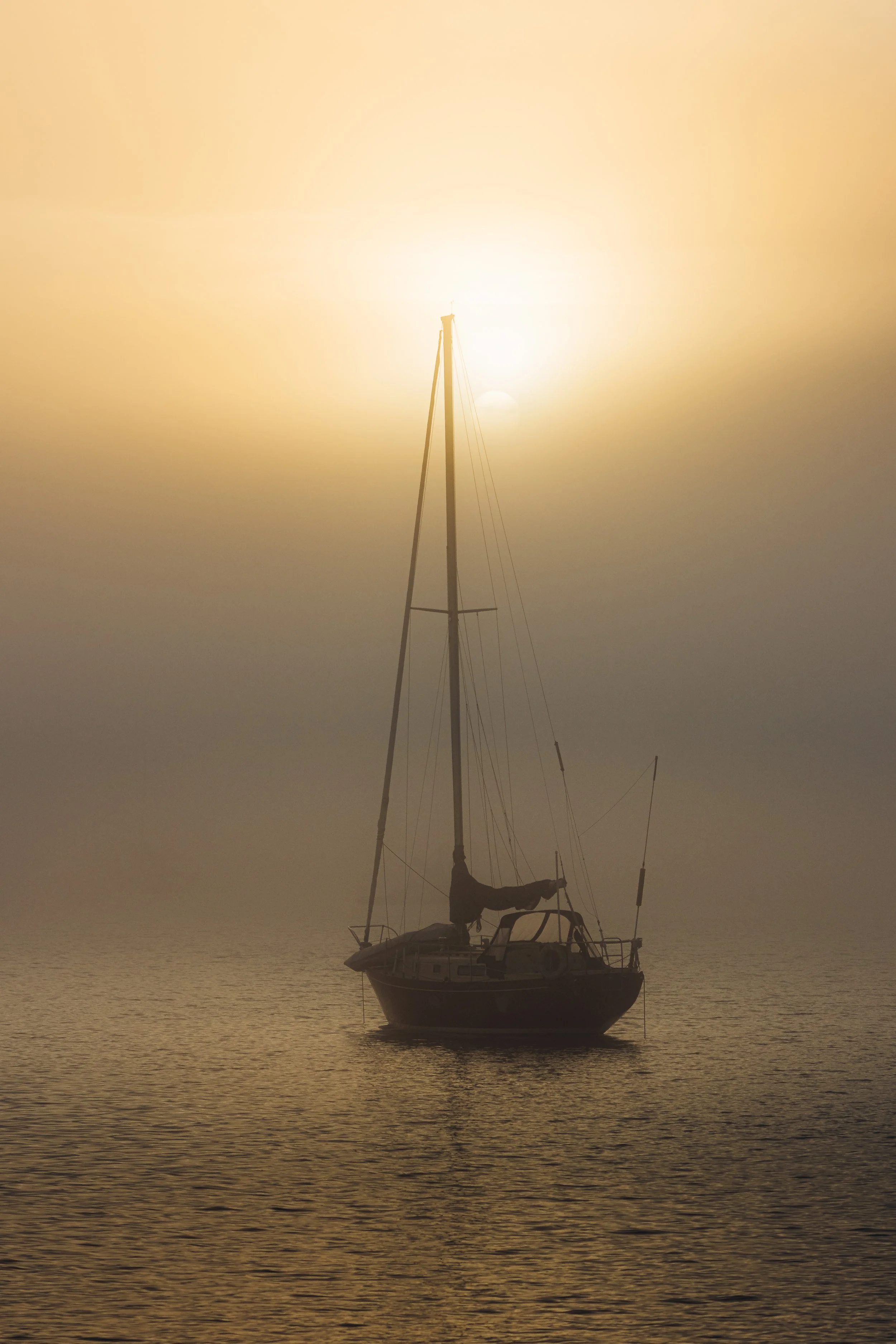 Jan 19 Foggy walk-12.jpg