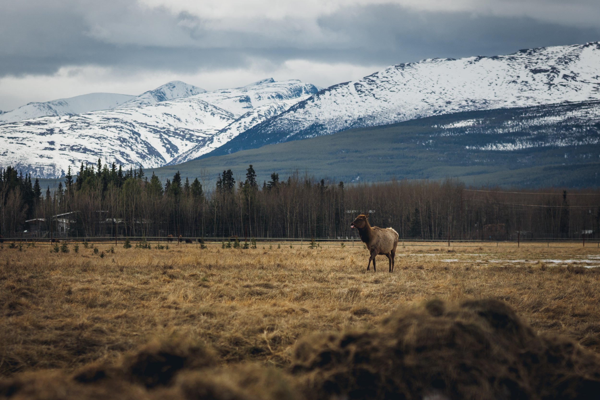 May 10 Wildlife Preserve-14.jpg