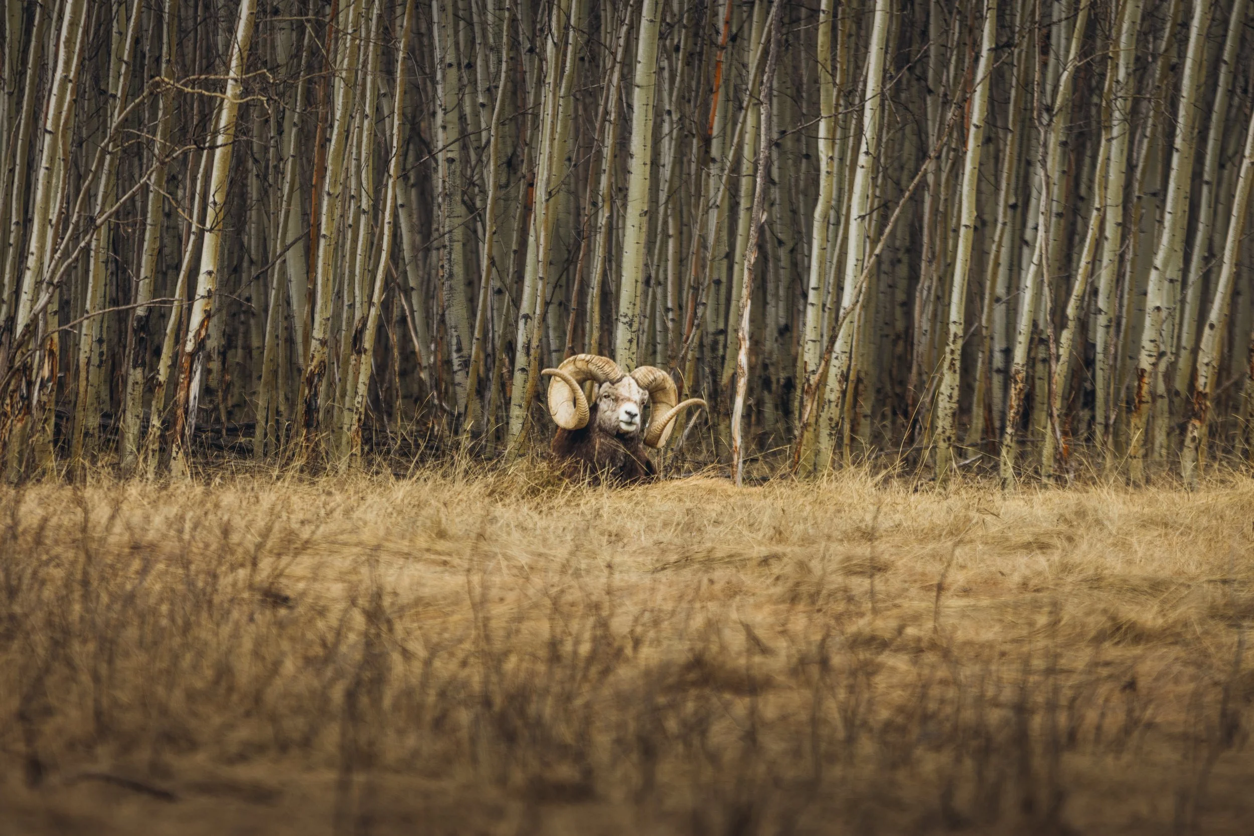 May 10 Wildlife Preserve-52.jpg