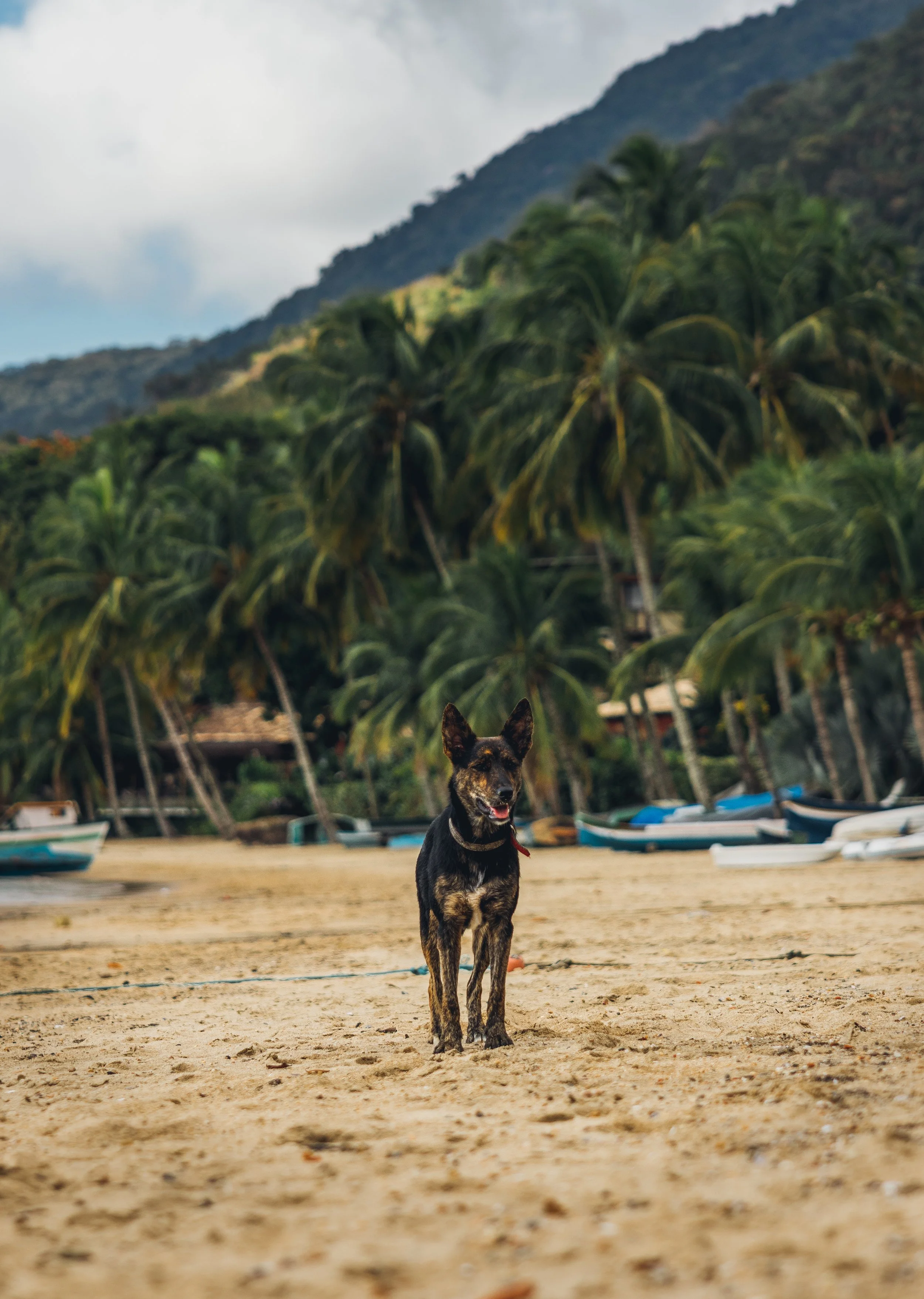 Ilhabela, Brazil