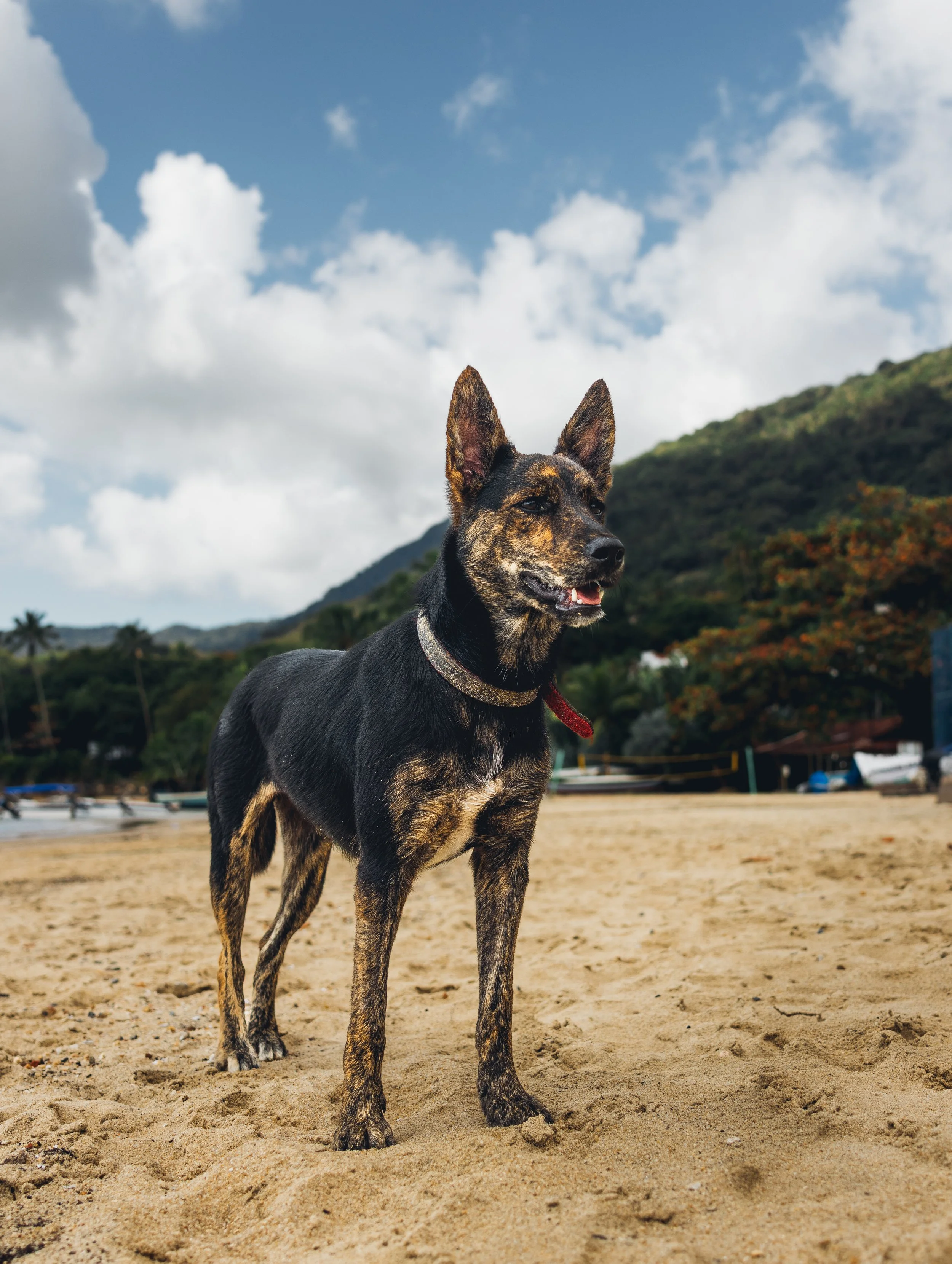 Ilhabela, Brazil