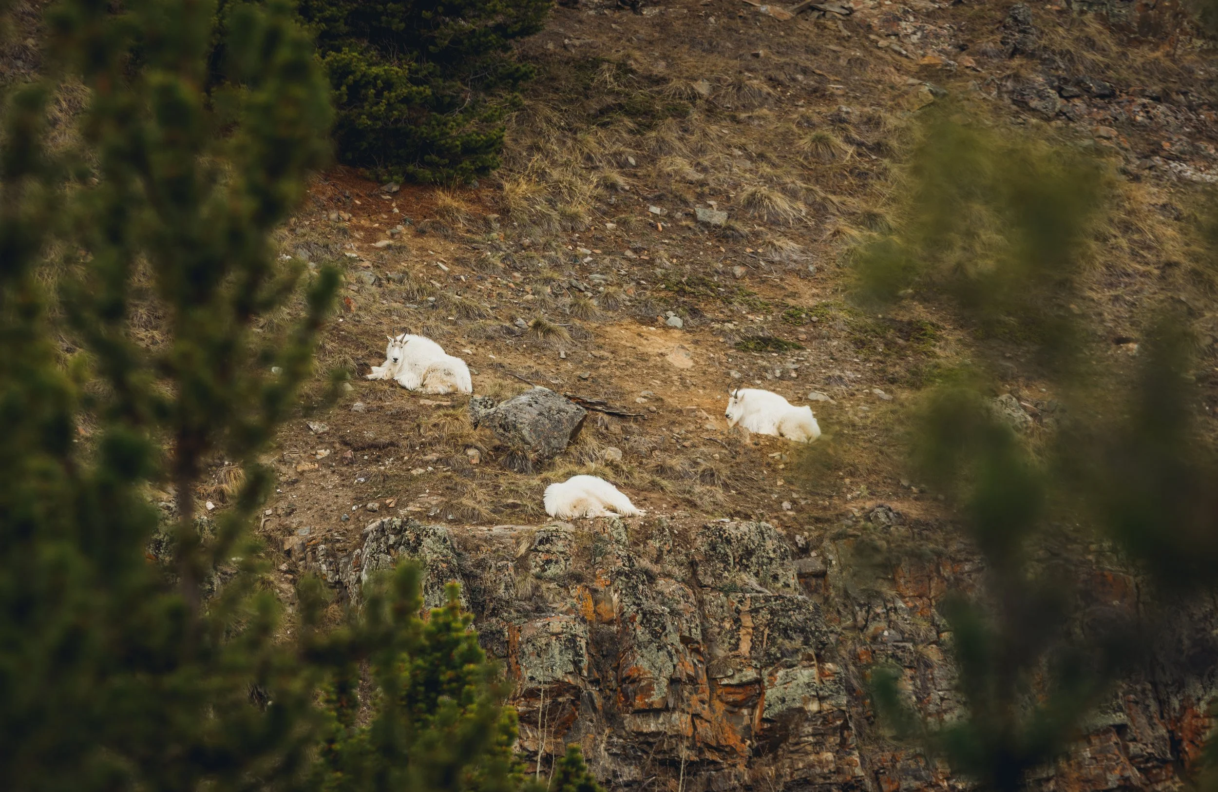 May 10 Wildlife Preserve-58.jpg