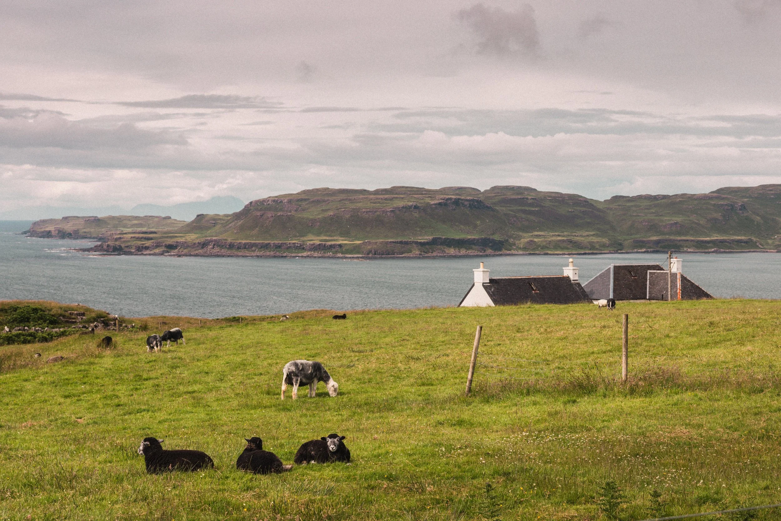 Scotland