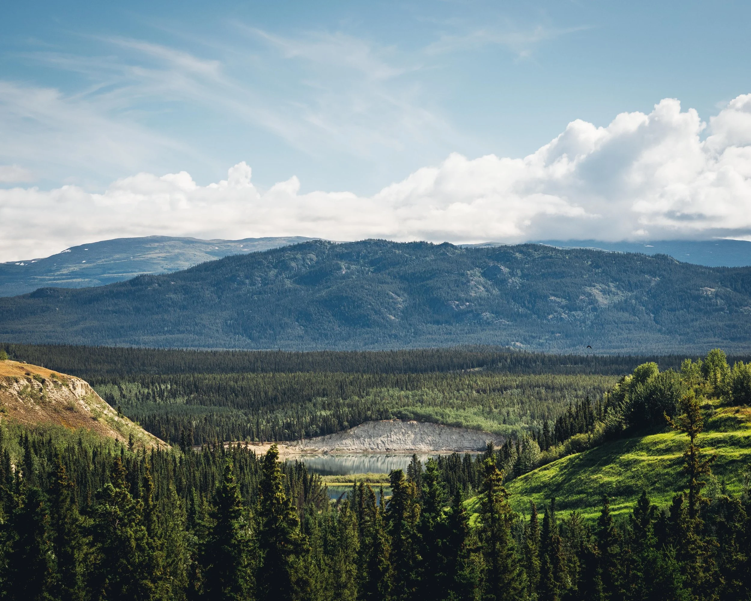 Whitehorse