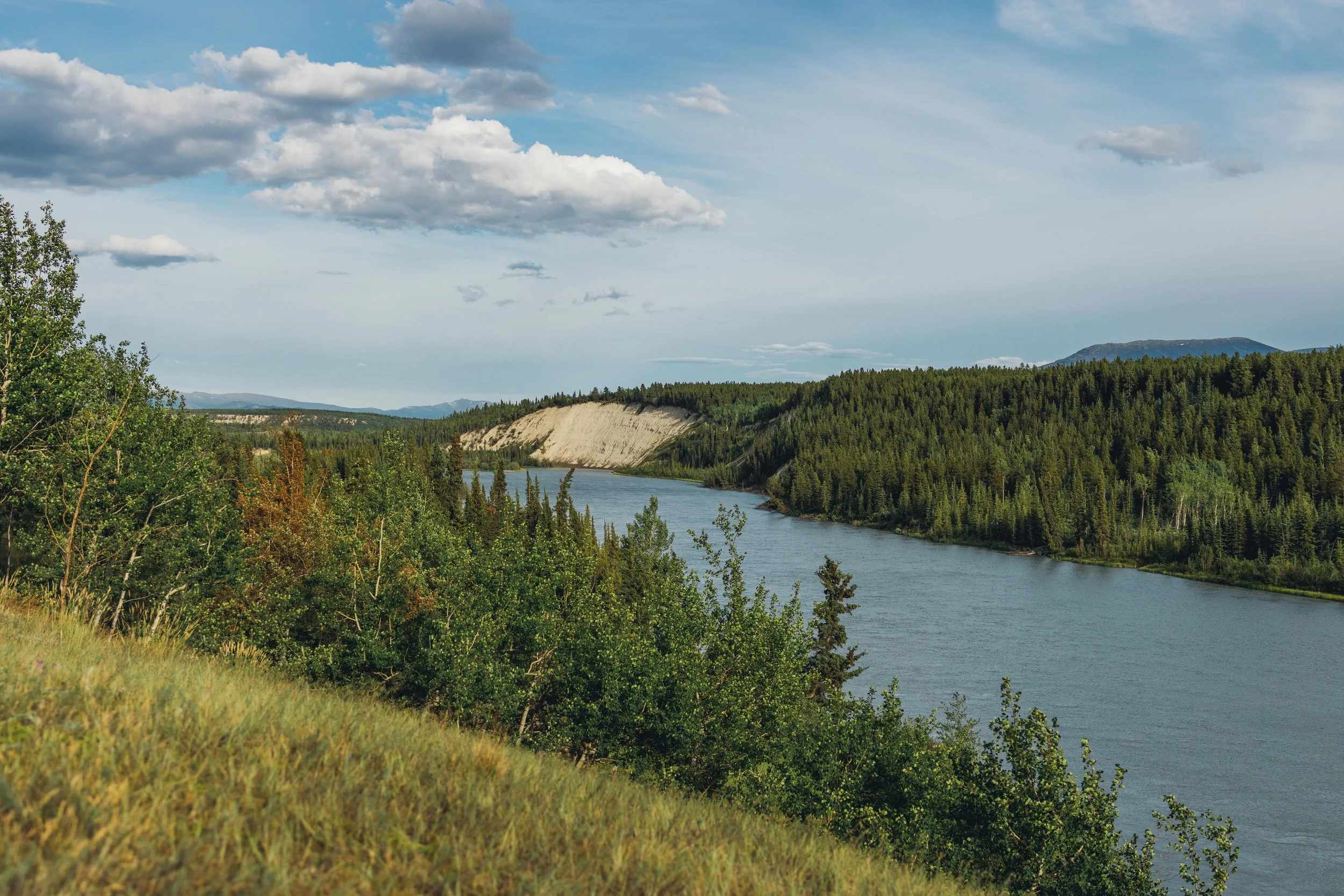Whitehorse