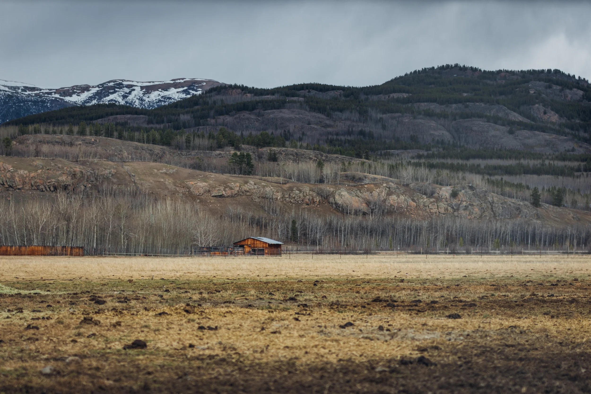 Yukon Wildlife Preserve