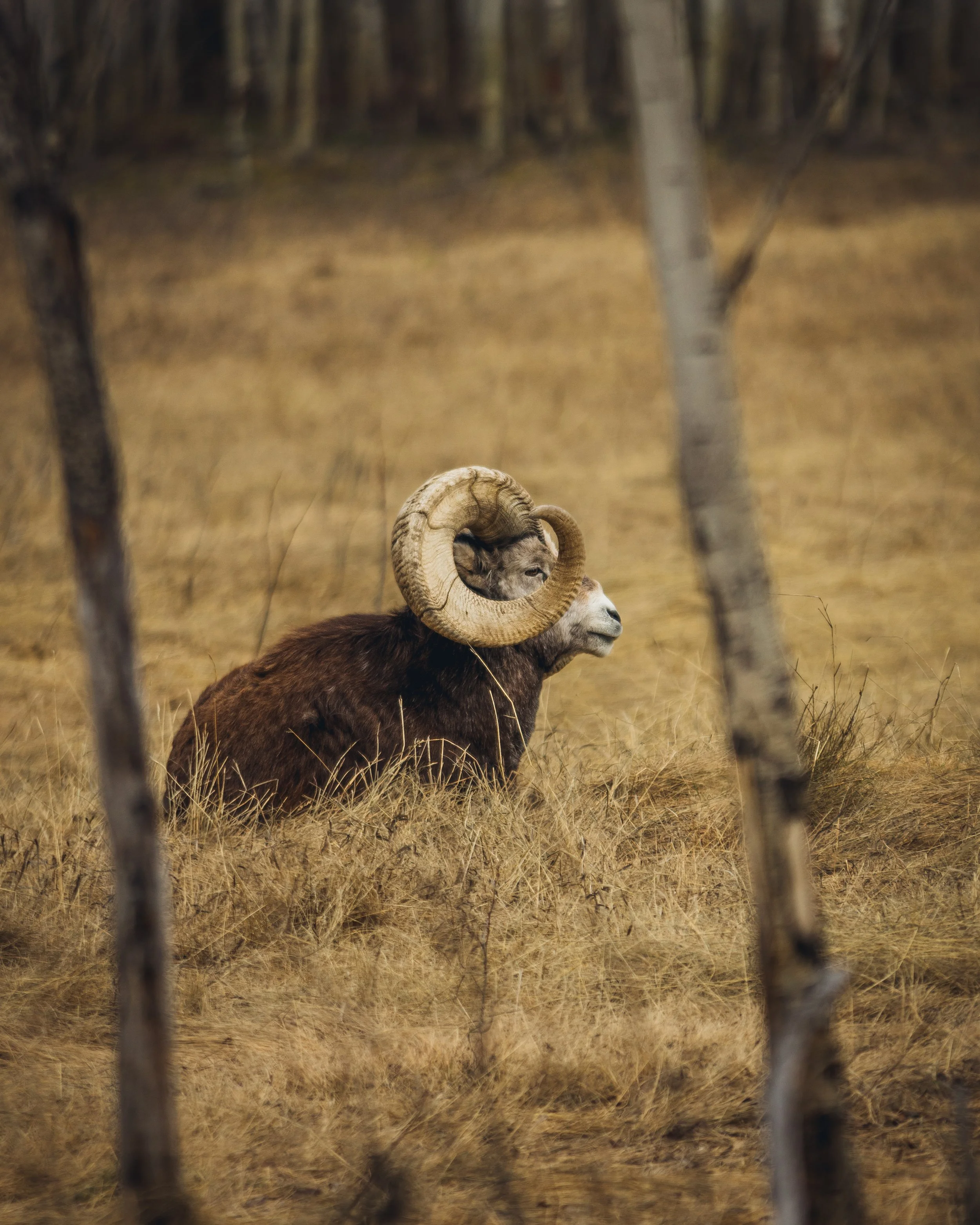 May 10 Wildlife Preserve-53.jpg