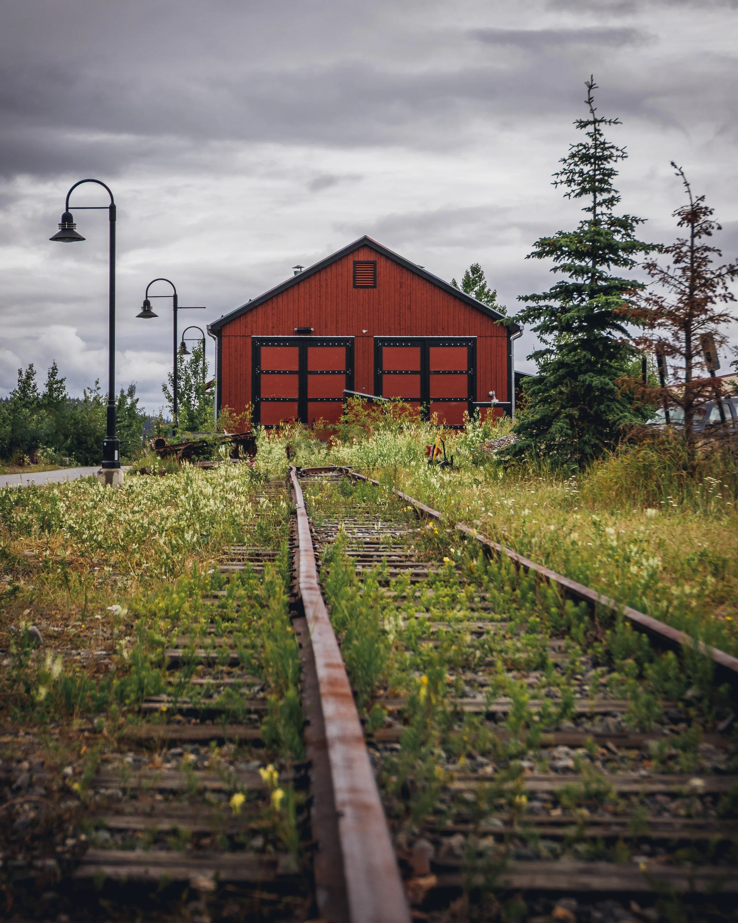 Whitehorse