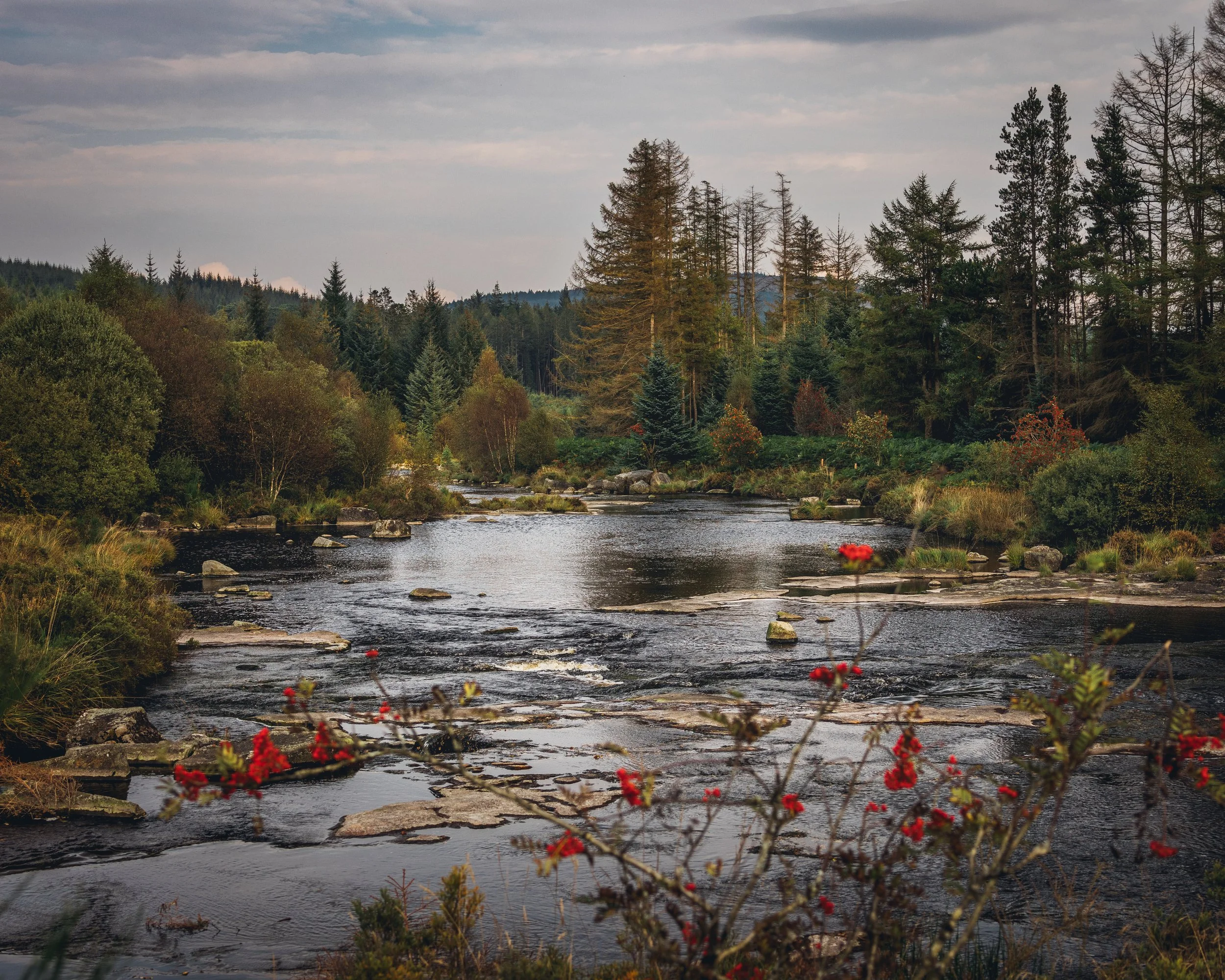 Scotland