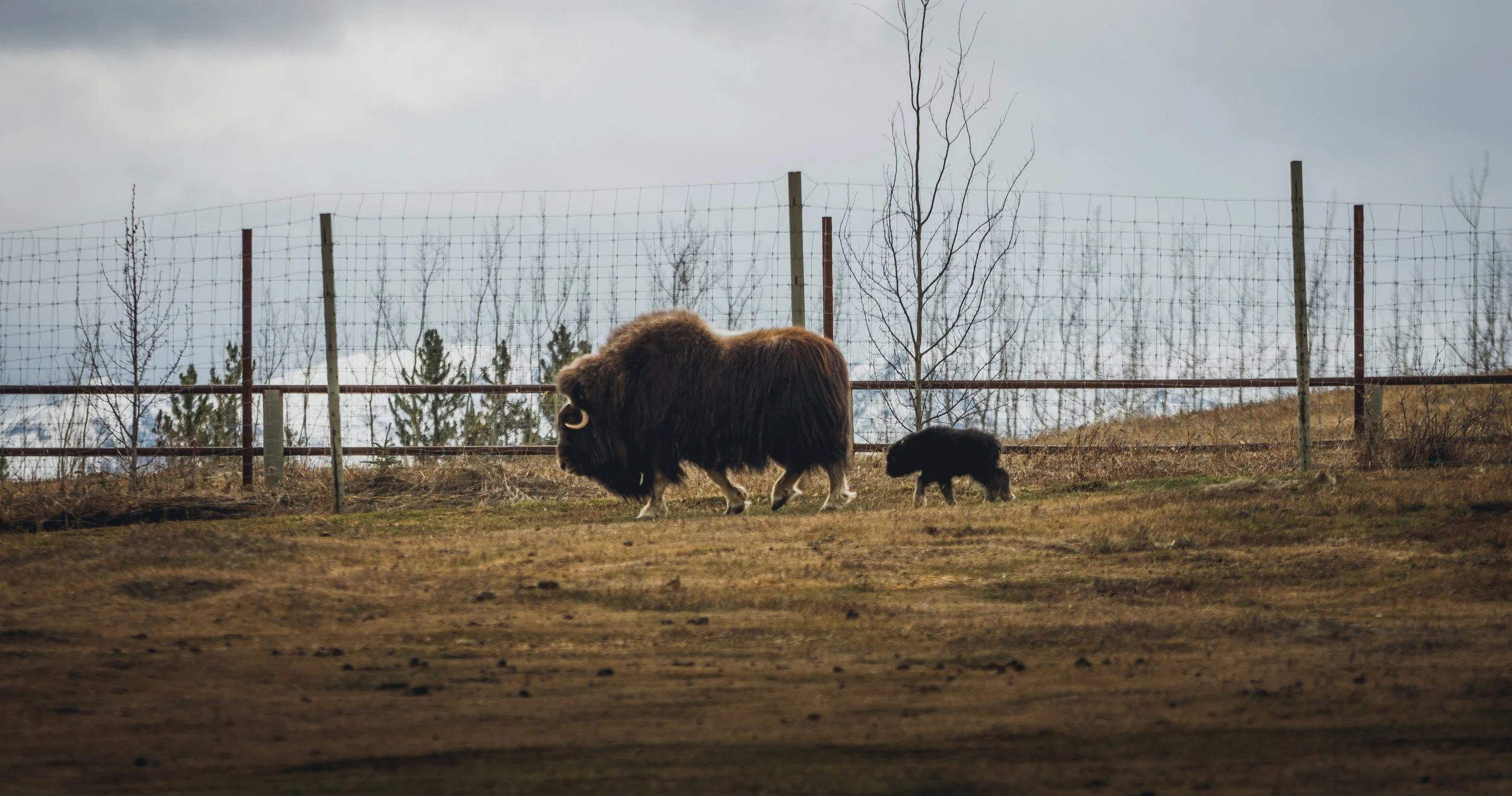 May 10 Wildlife Preserve-27.jpg
