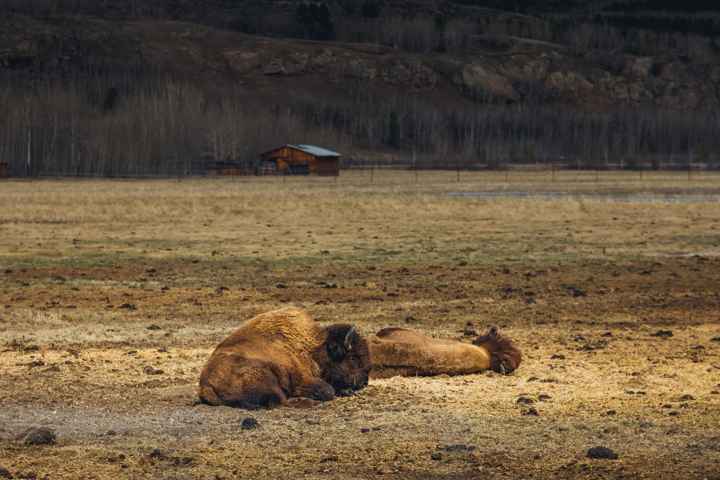 May 10 Wildlife Preserve-4.jpg